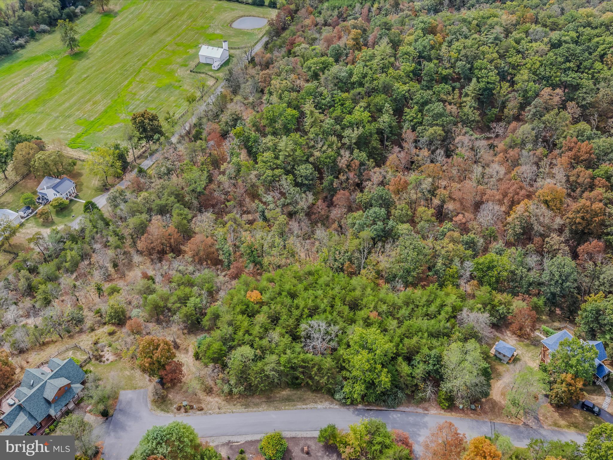 CACAPON SOUTH - Land