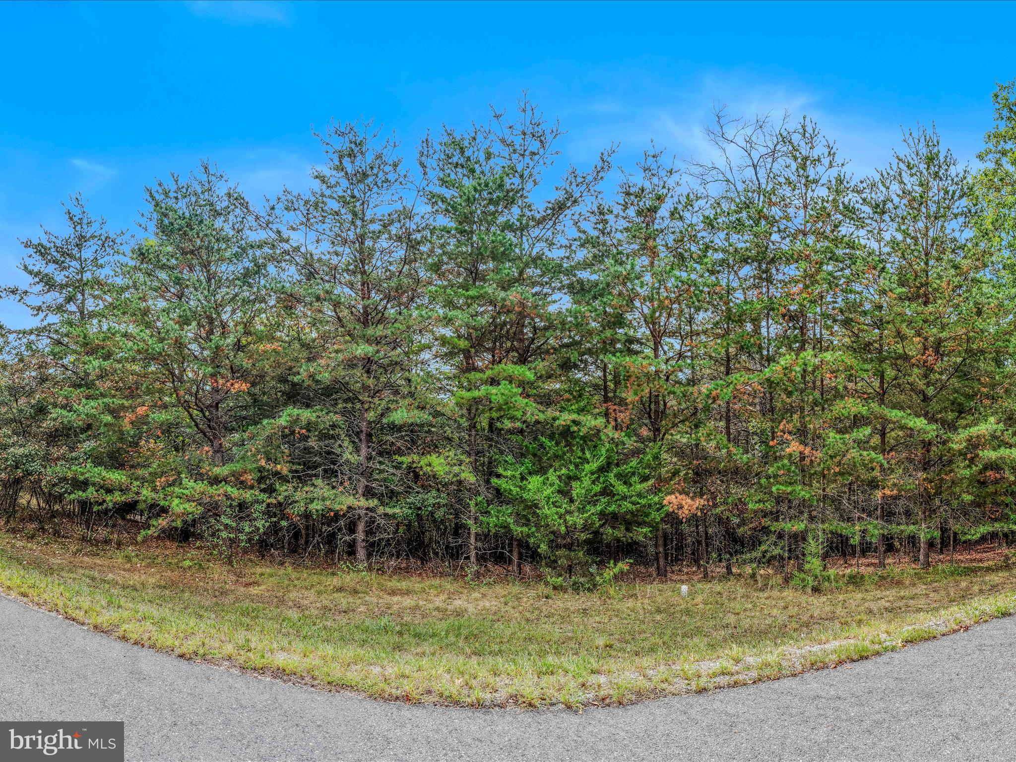 CACAPON SOUTH - Land