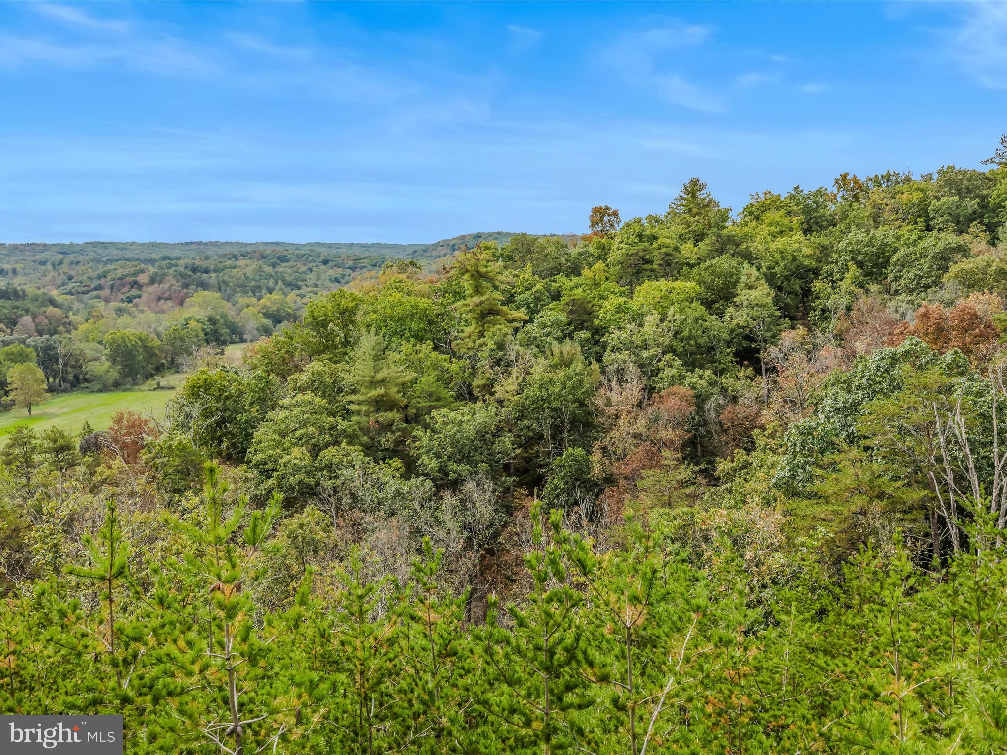 CACAPON SOUTH - Land