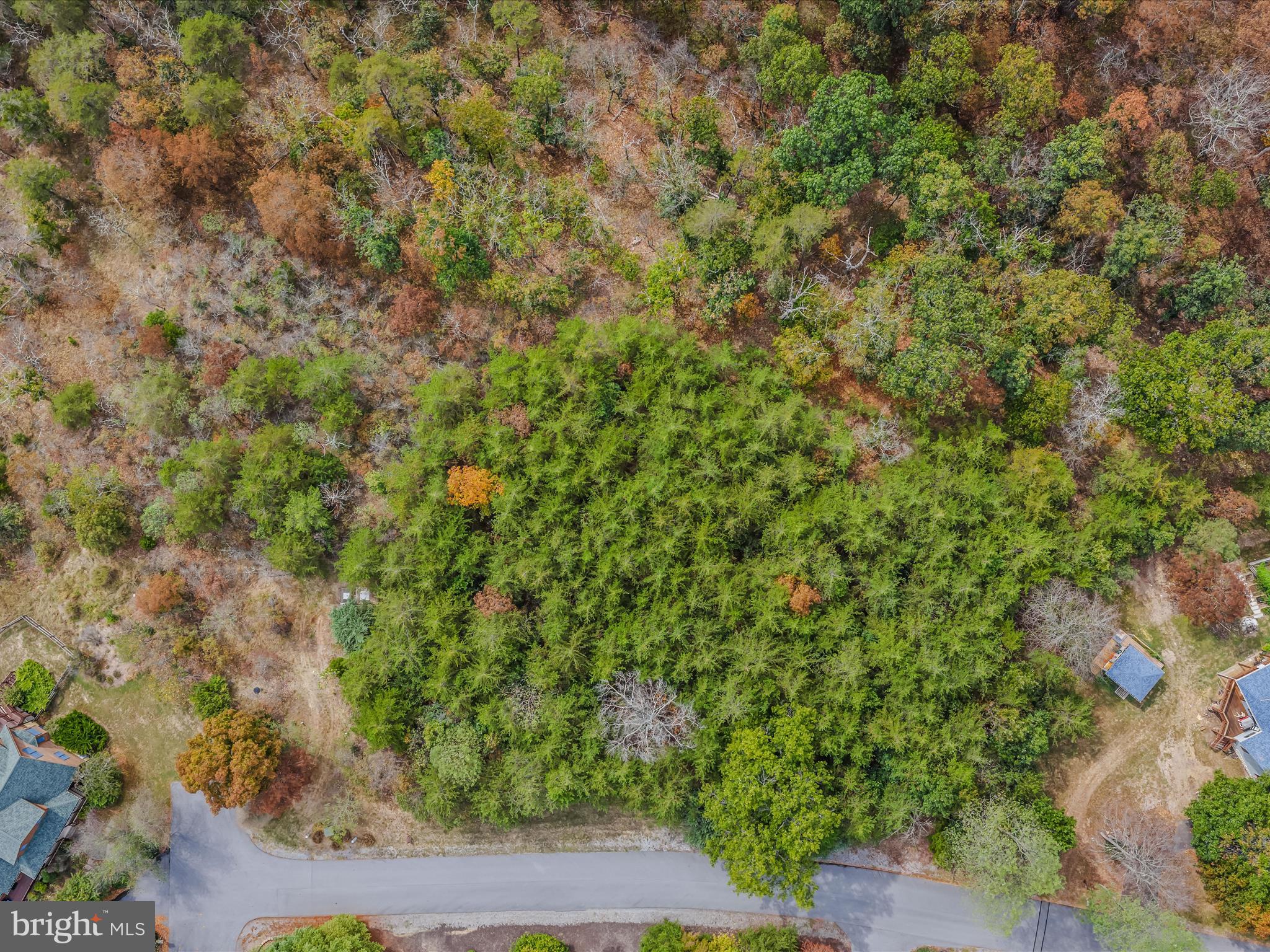 CACAPON SOUTH - Land