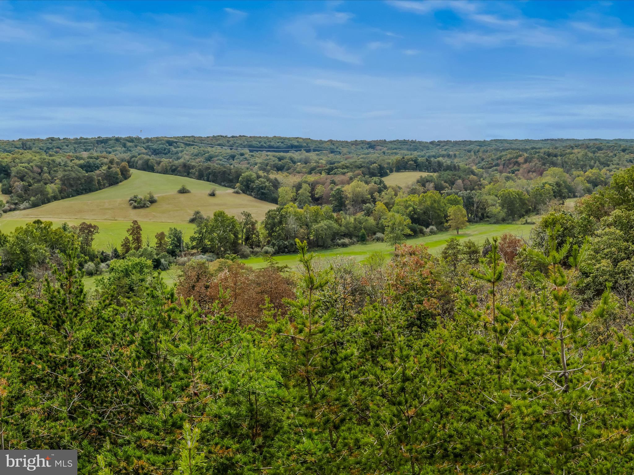 CACAPON SOUTH - Land