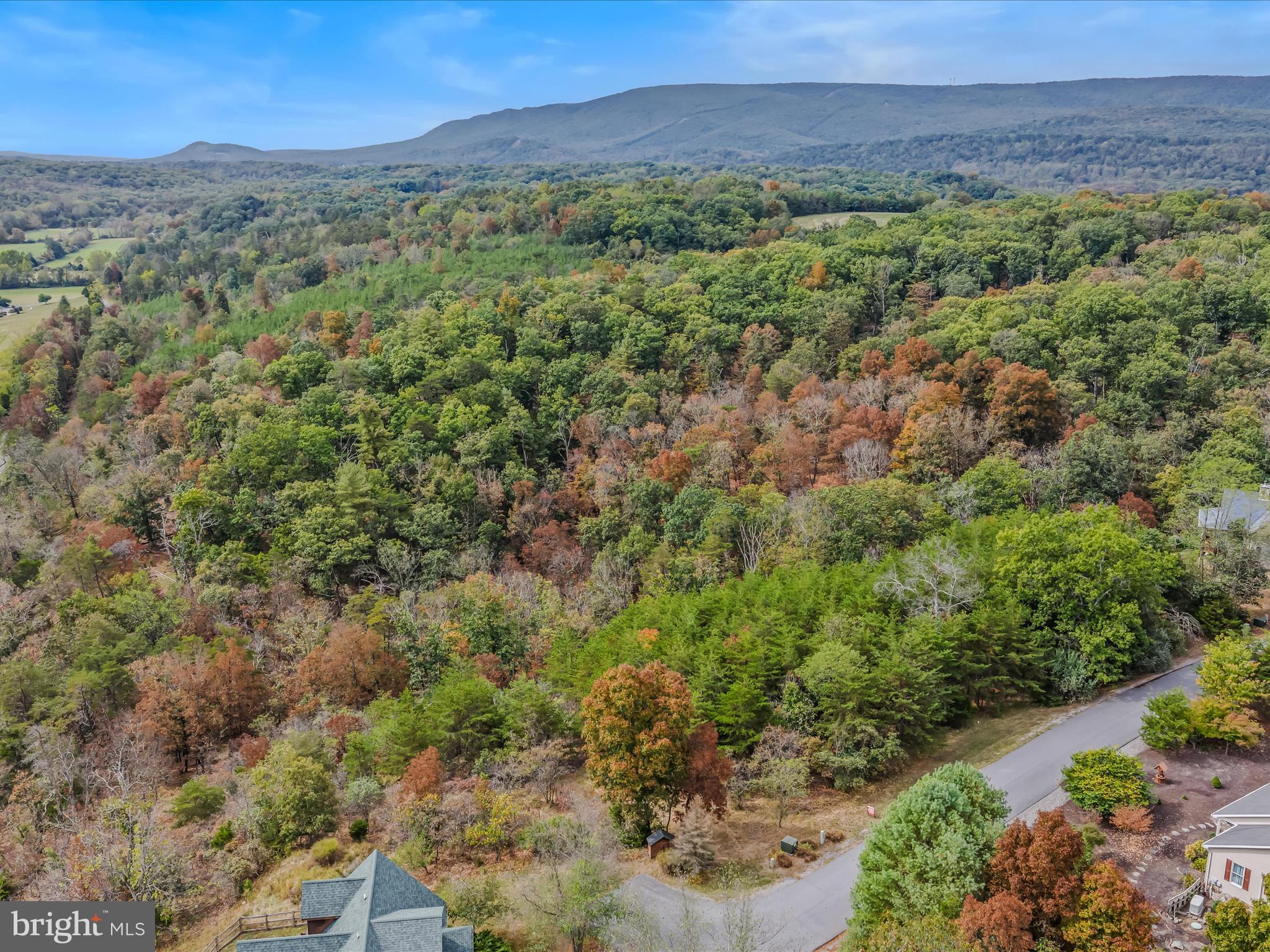 CACAPON SOUTH - Land