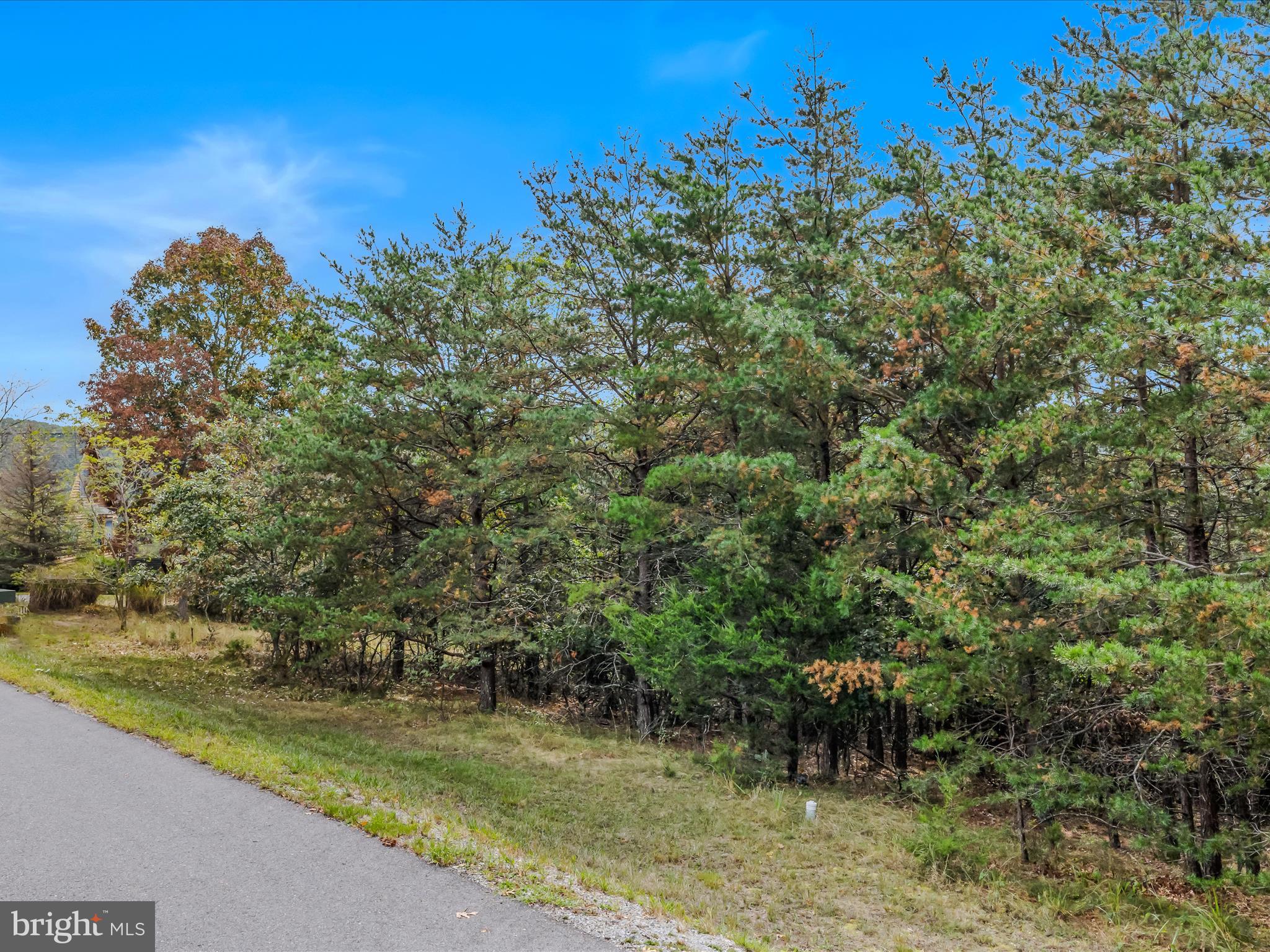 CACAPON SOUTH - Land