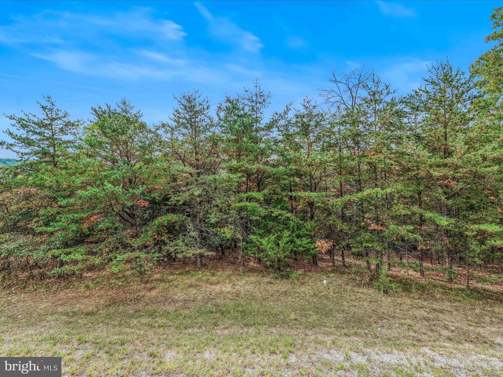 CACAPON SOUTH - Land