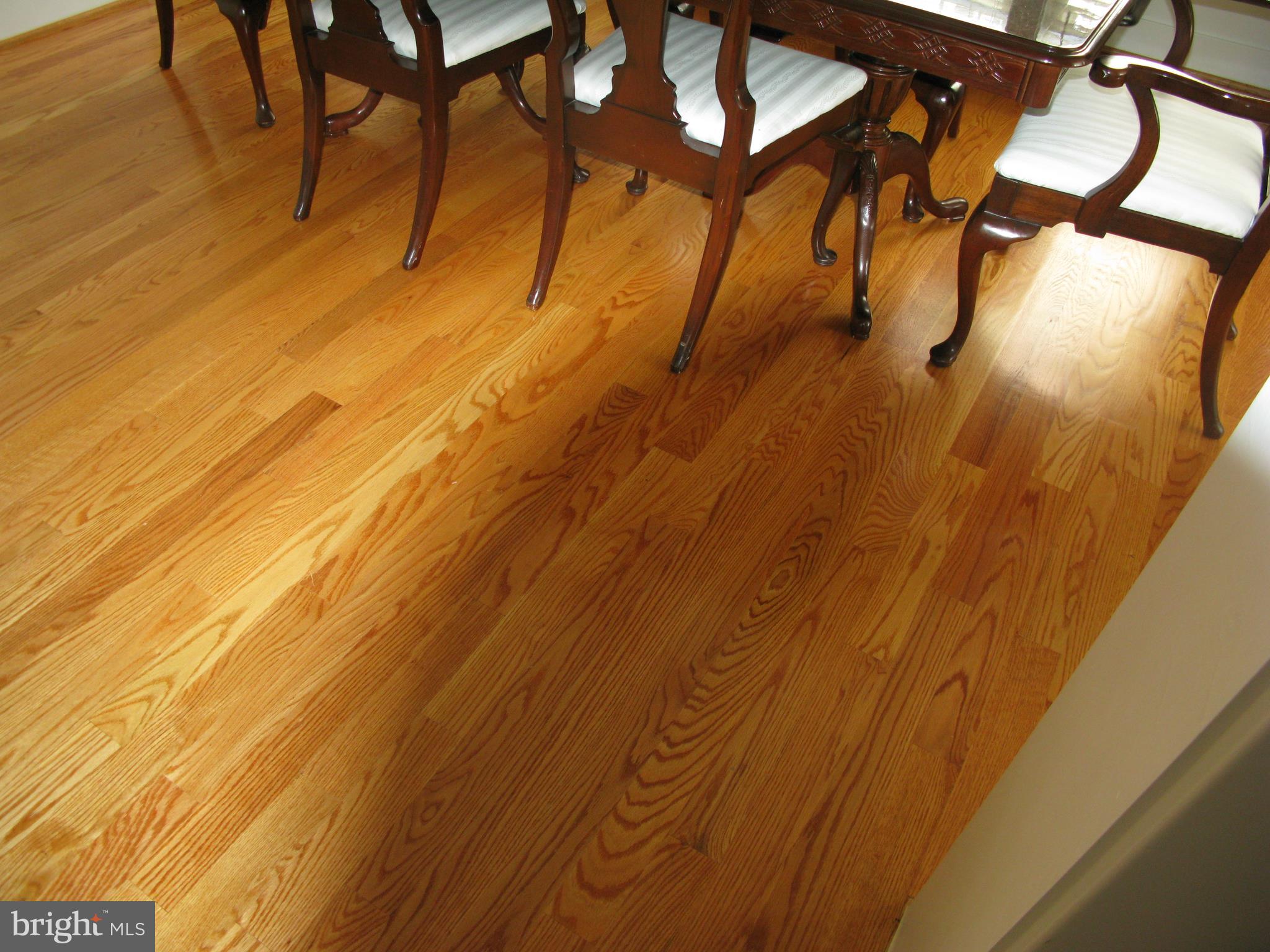 NORTH KENSINGTON - Residential Lease