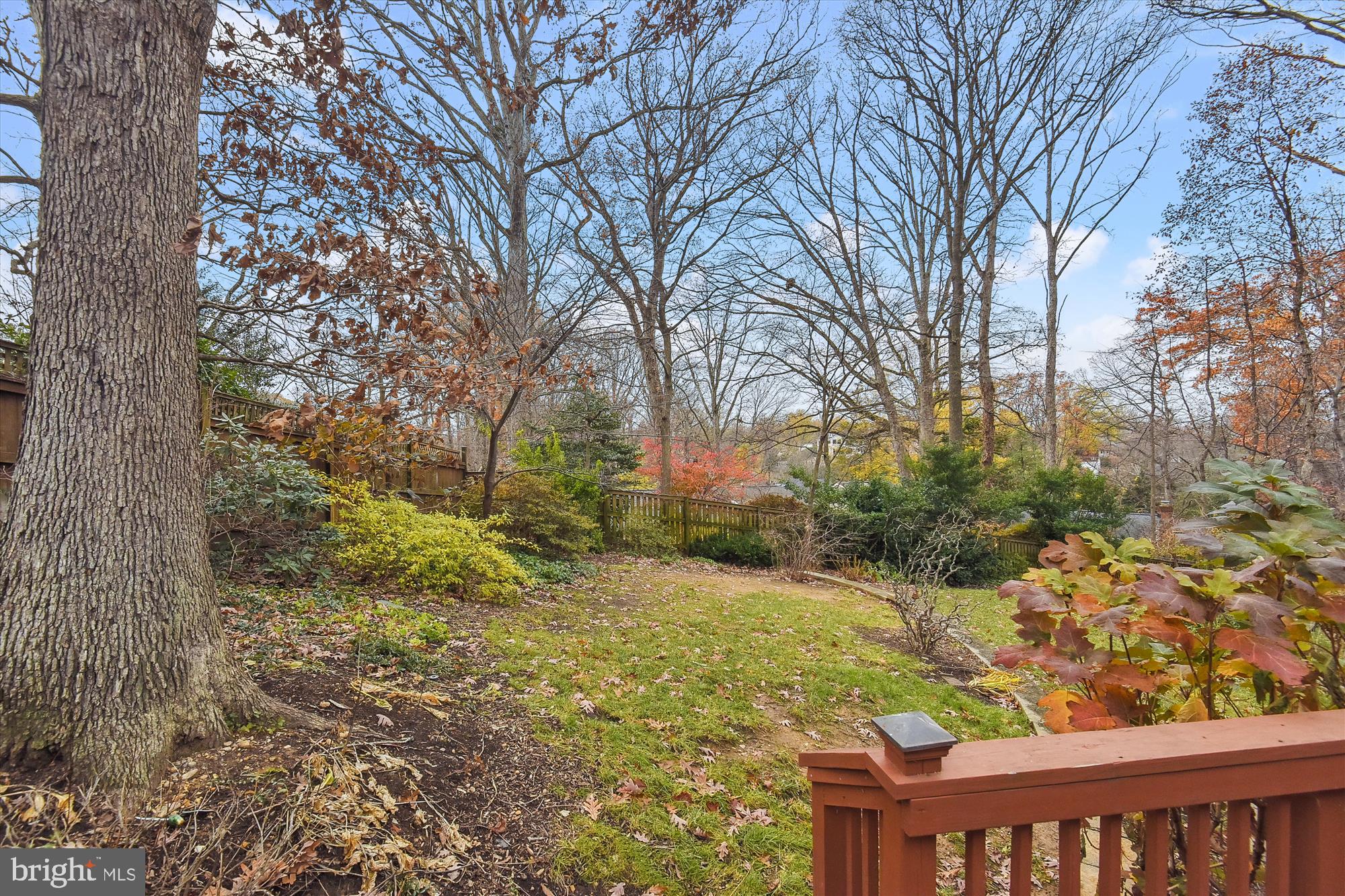 BELLEVUE FOREST - Residential