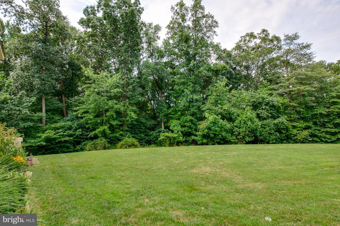 CONSTANT FRIENDSHIP - Residential