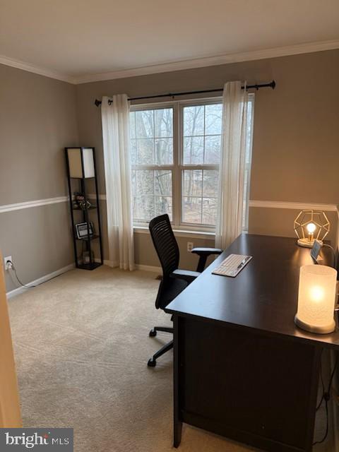 YORKSHIRE COMMONS - Residential