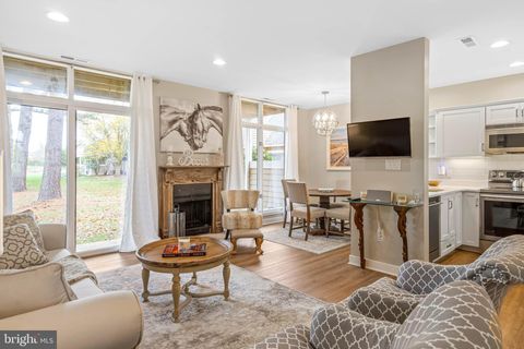 20884 SPRING LAKE DRIVE 316 REHOBOTH BEACH DE 19971