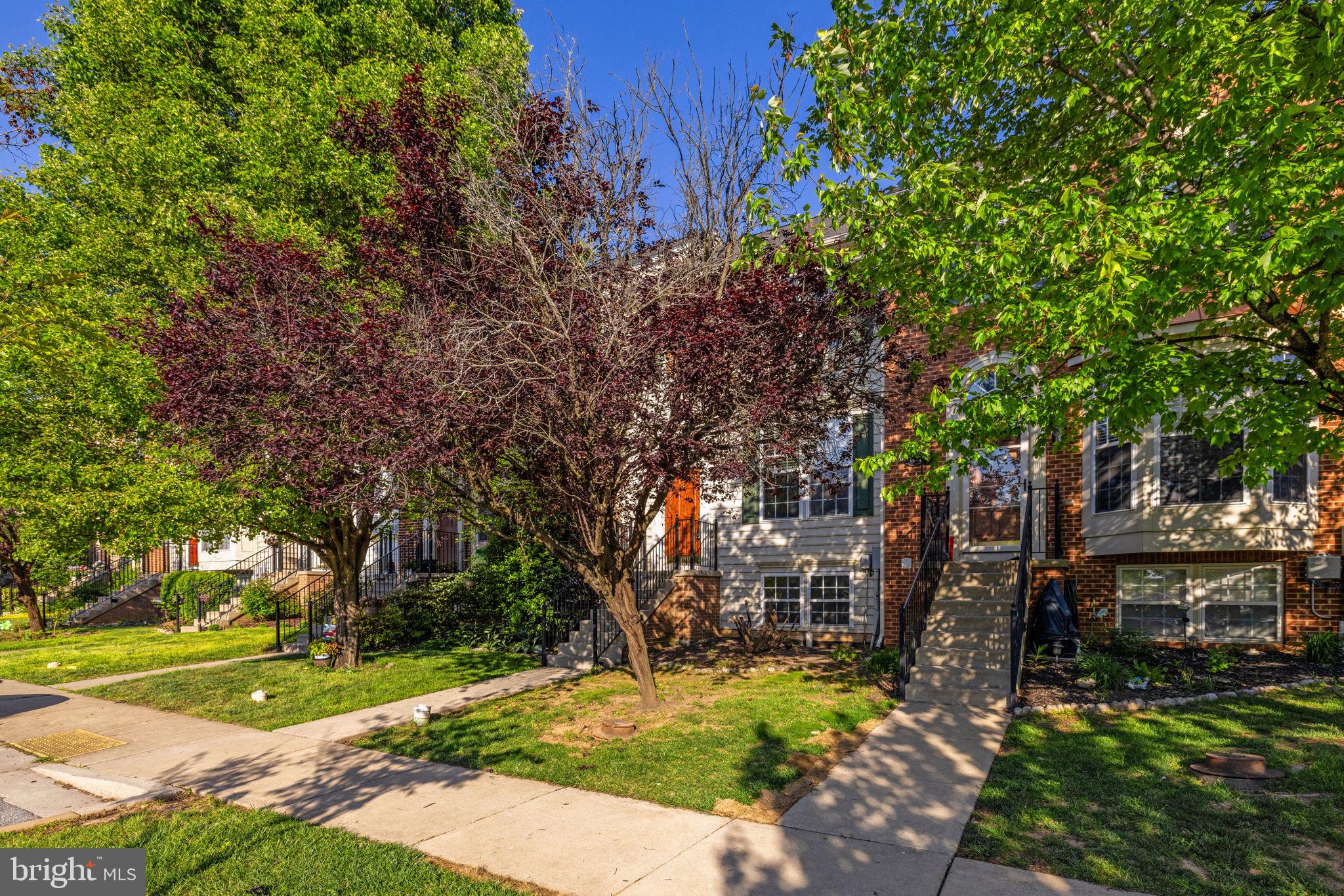 SHENANDOAH SPRINGS - Residential