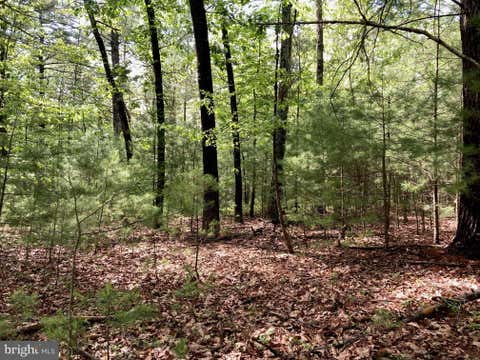 Vacant Land For Sale - L7 Quaker Woods Lane<br/> Hampshire County, CAPON BRIDGE, WV 26711