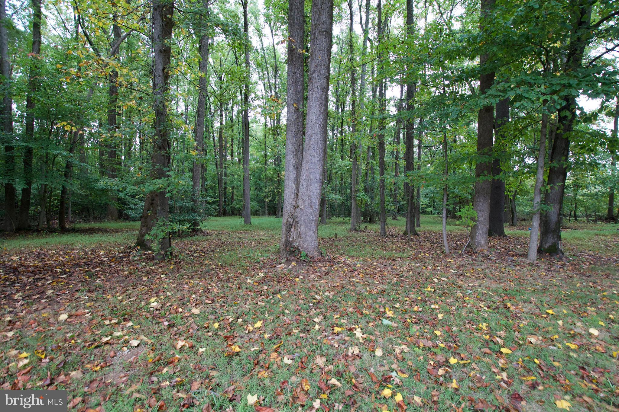 MOYAONE RESERVE - Residential