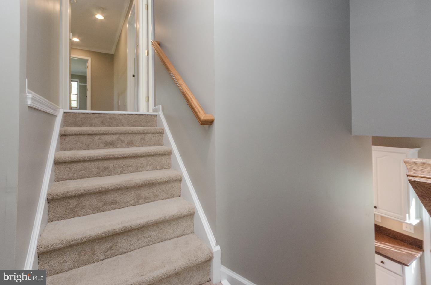 MORGANA - Residential