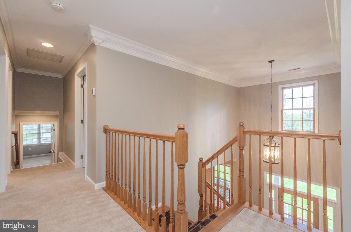 MORGANA - Residential