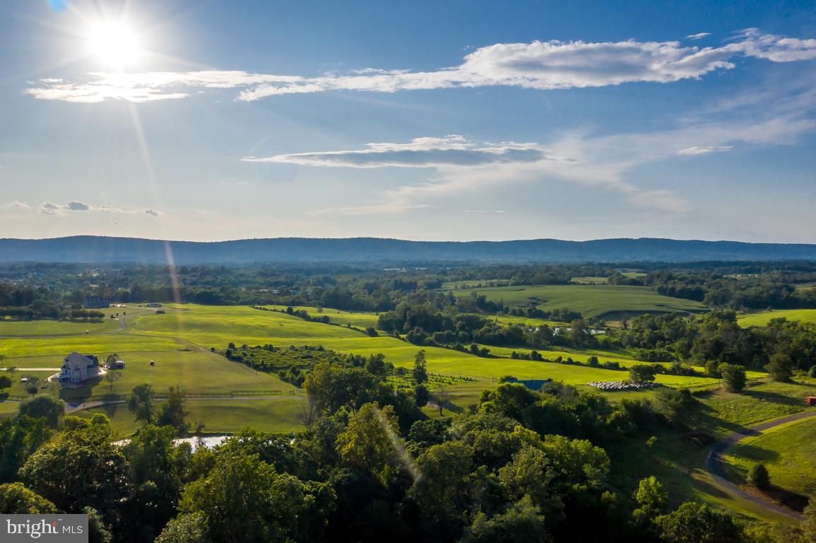 WATERFORD MEADOWS - Residential