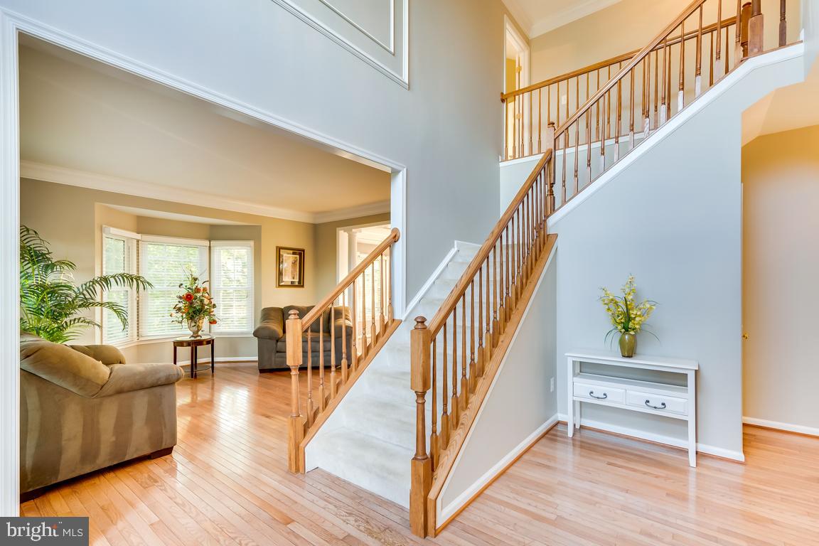 WATERFORD MEADOWS - Residential