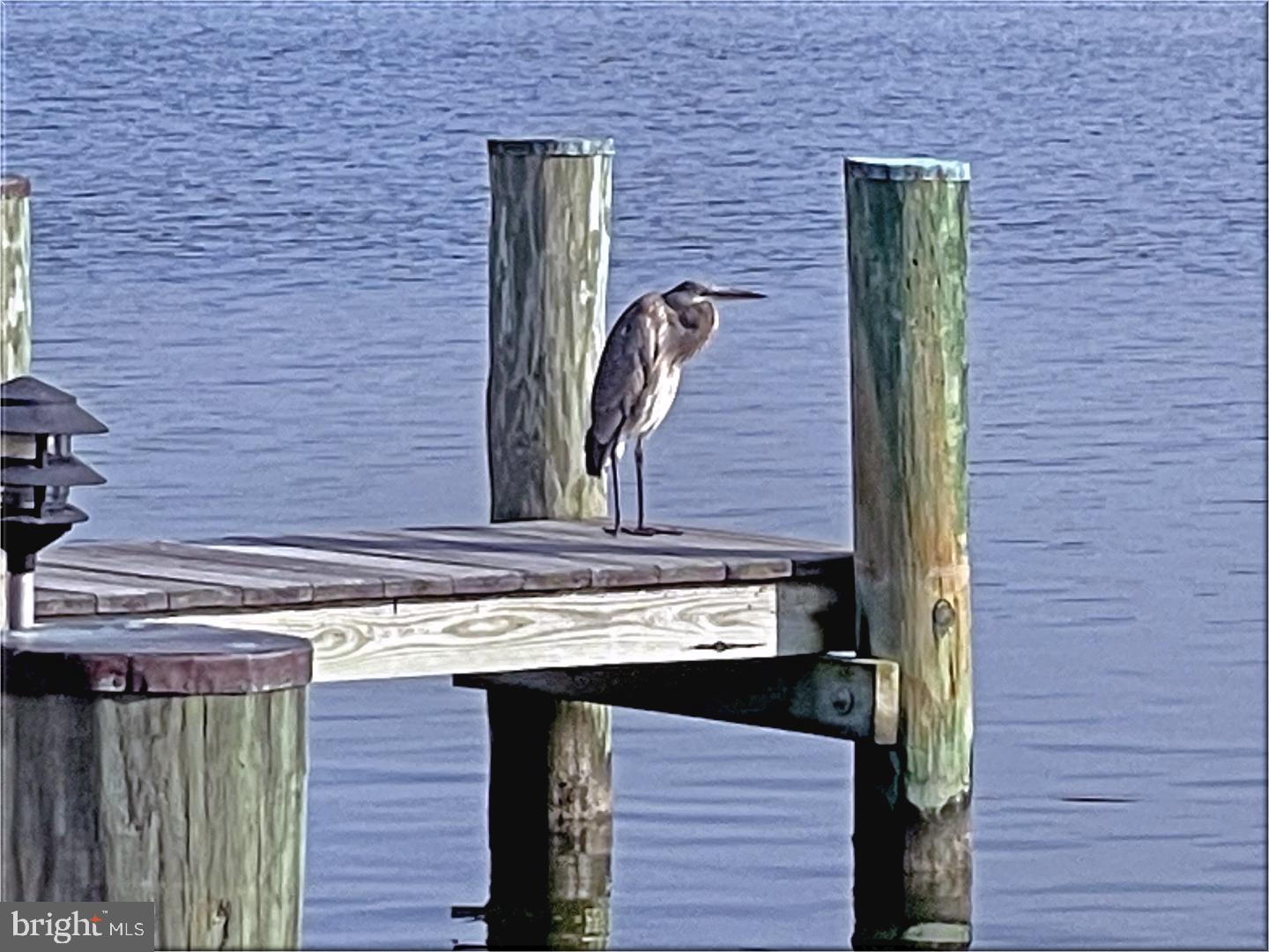 NEAVITT - Residential