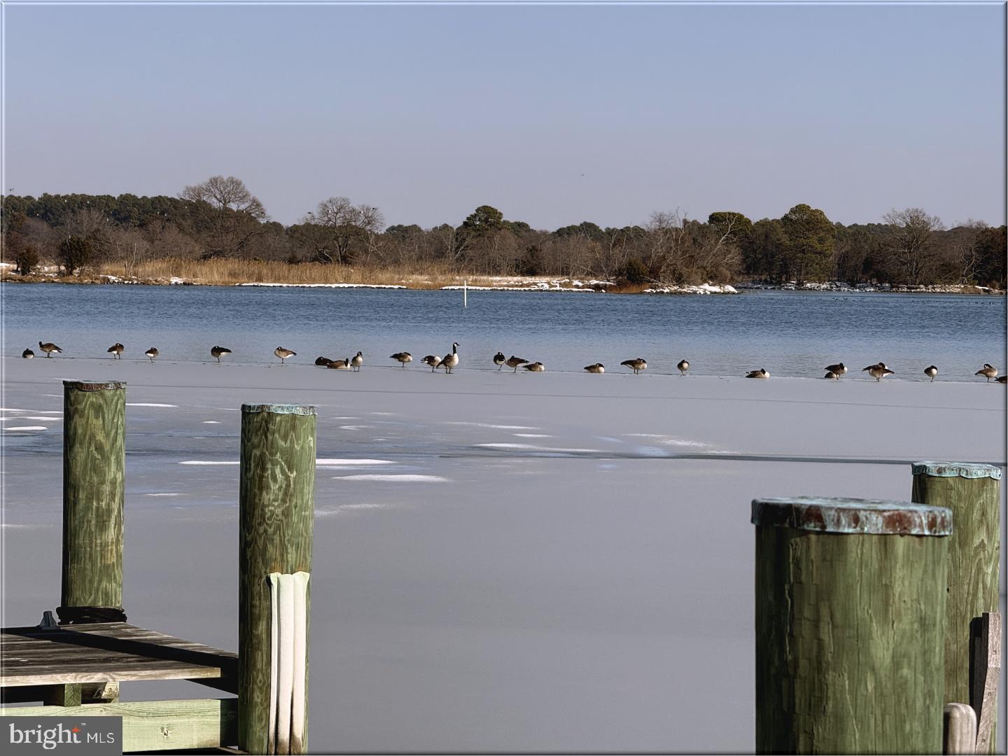 NEAVITT - Residential