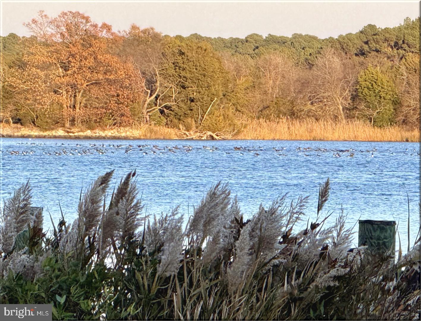 NEAVITT - Residential