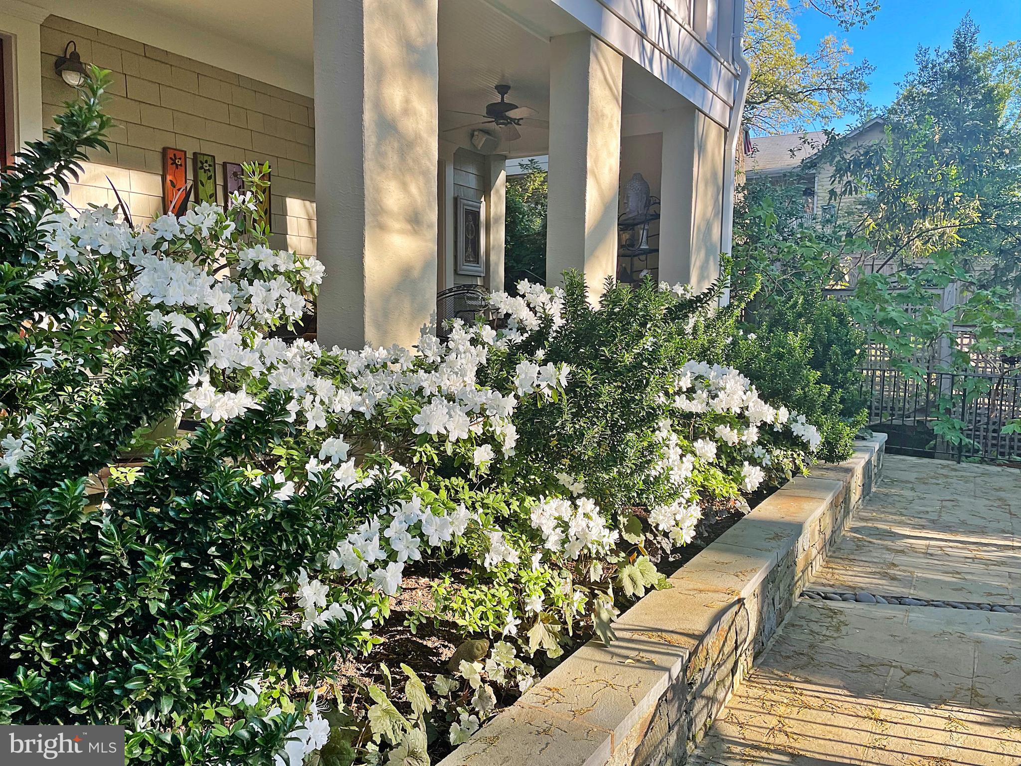 ARLINGTON RIDGE - Residential