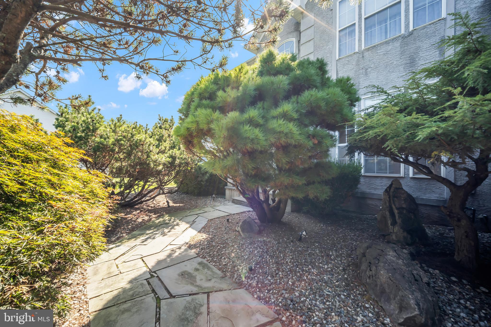 15 DOVER PLACE