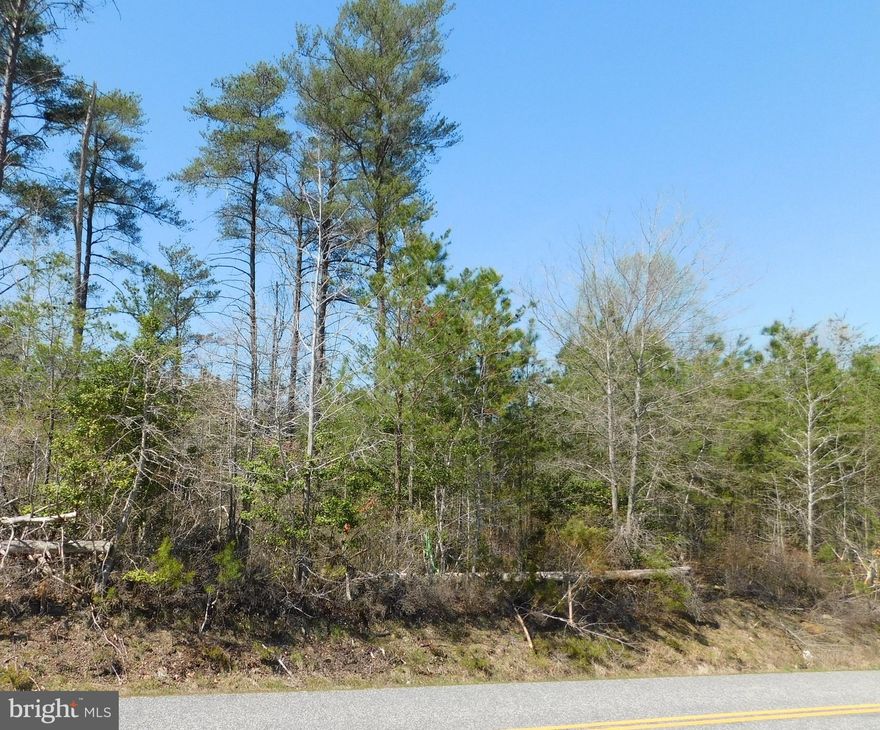 Private wooded building lot convenient to Colonial Beach and Dahlgren. Home site and drainfield site identified.