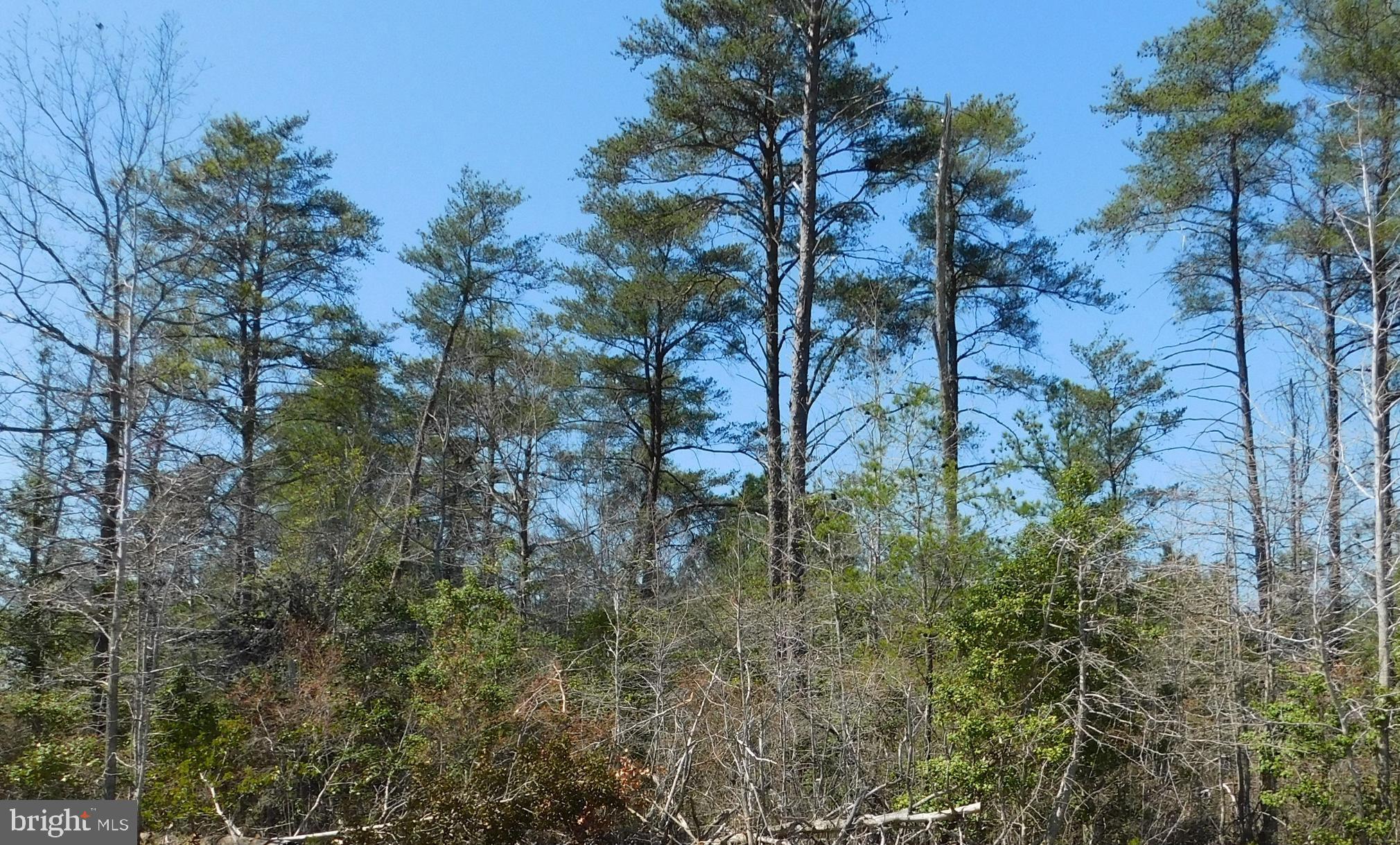 35-81 STONEY KNOLL RD