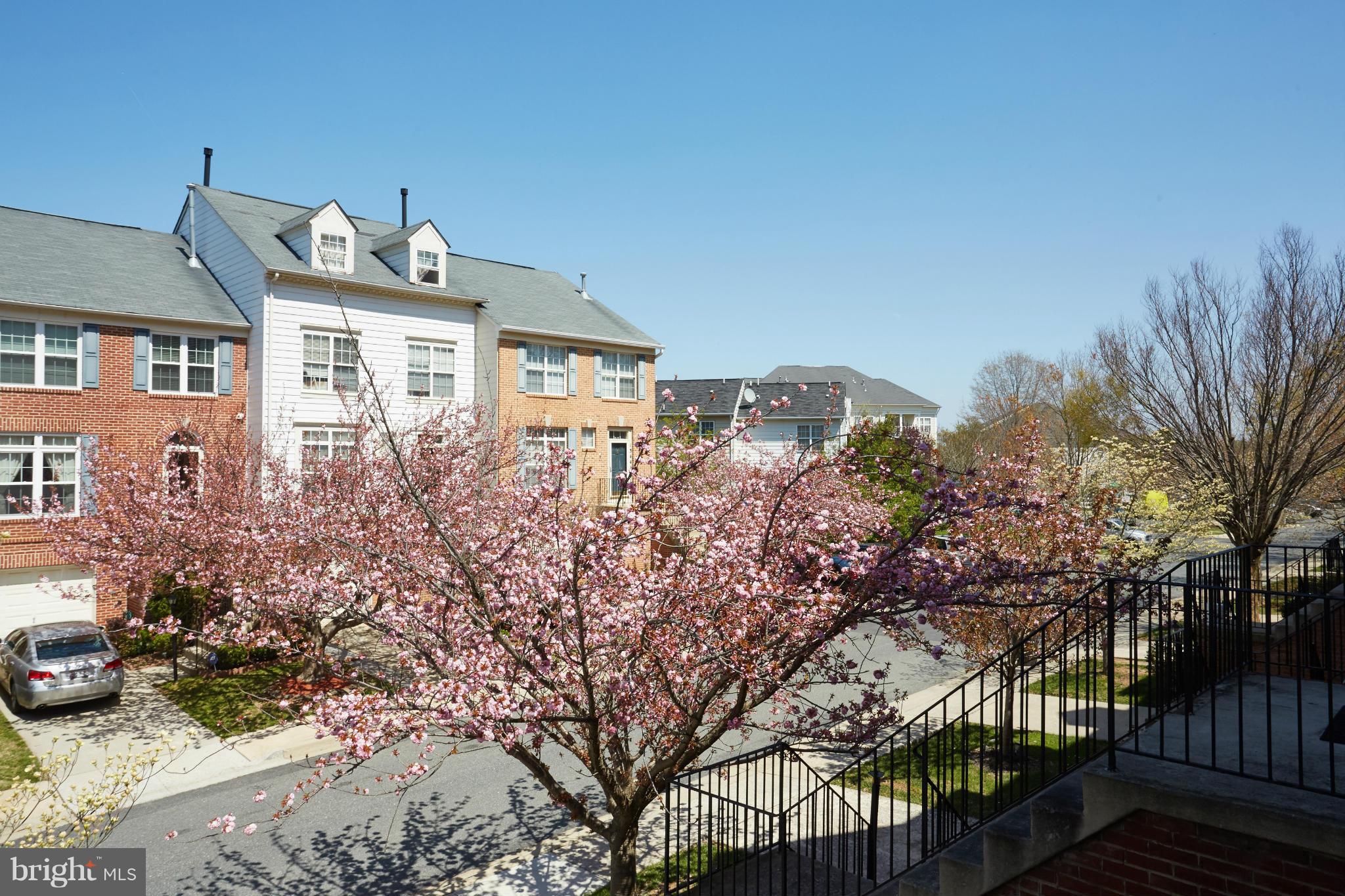 CLOPPERS MILL WEST - Residential