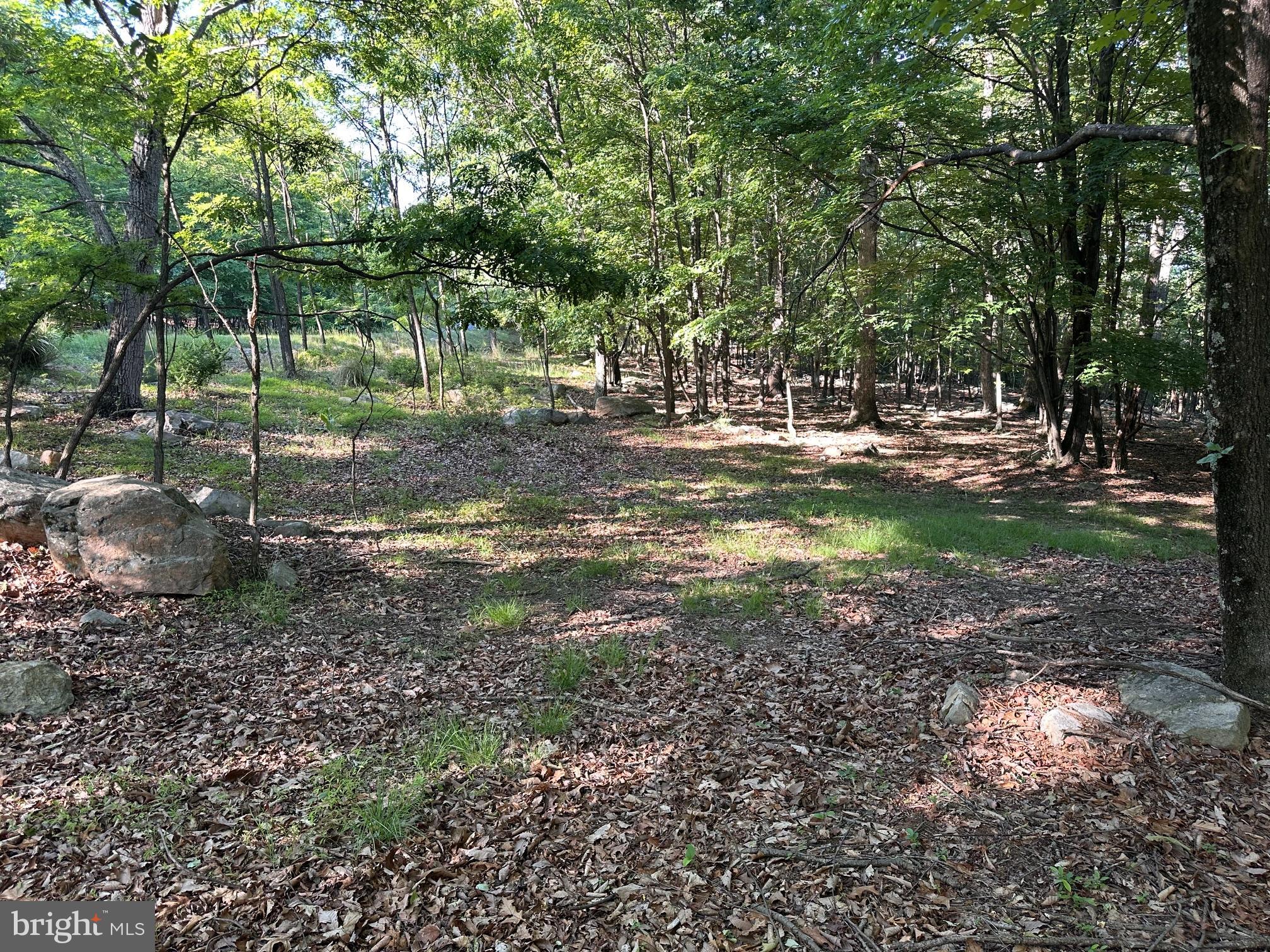 Lot 56 PARKSIDE DRIVE
