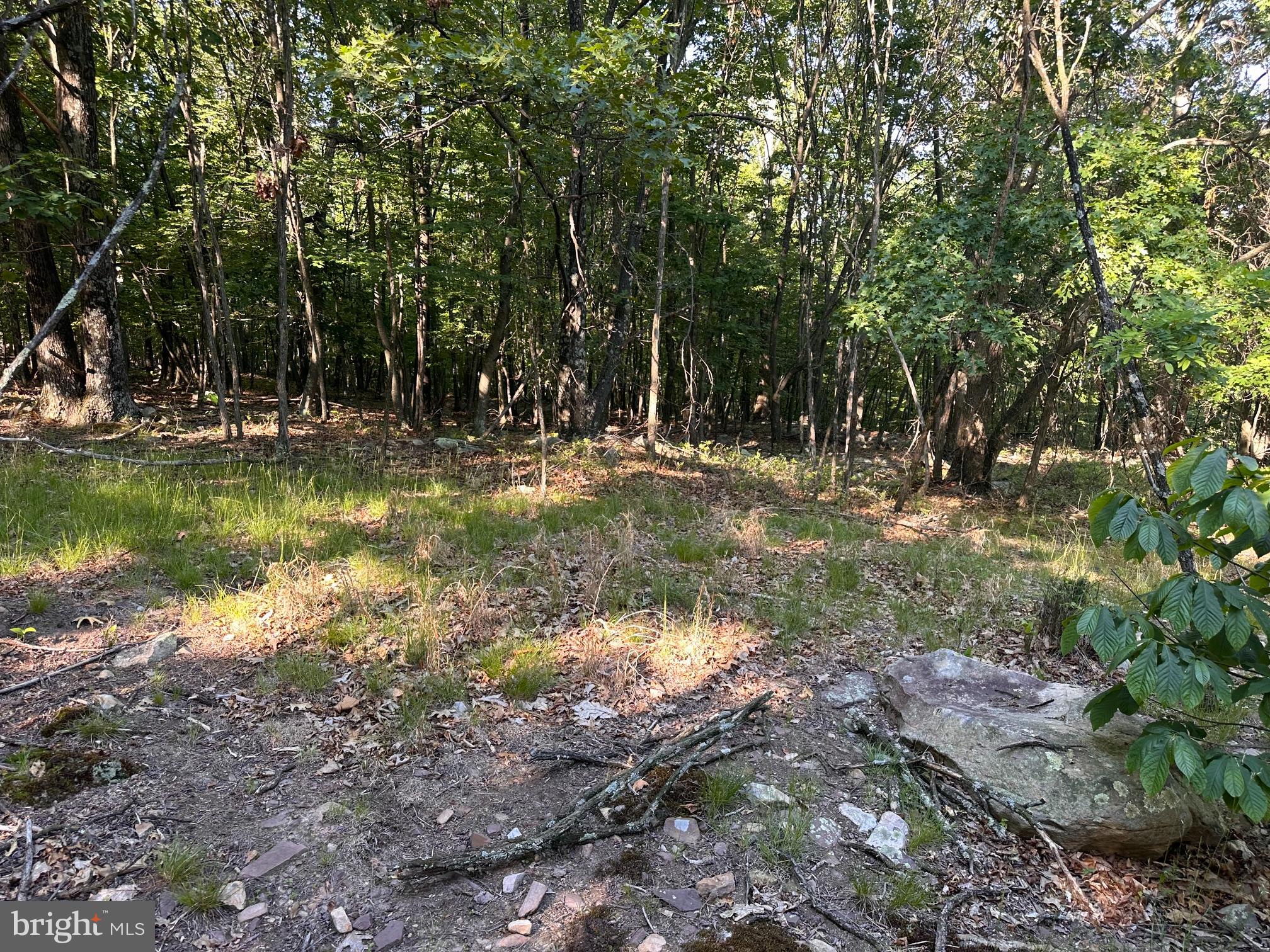 Lot 56 PARKSIDE DRIVE