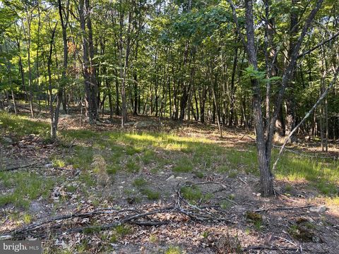 Vacant Land For Sale - LOT 56 Parkside Drive<br/> BERKELEY SPRINGS, WV 25411