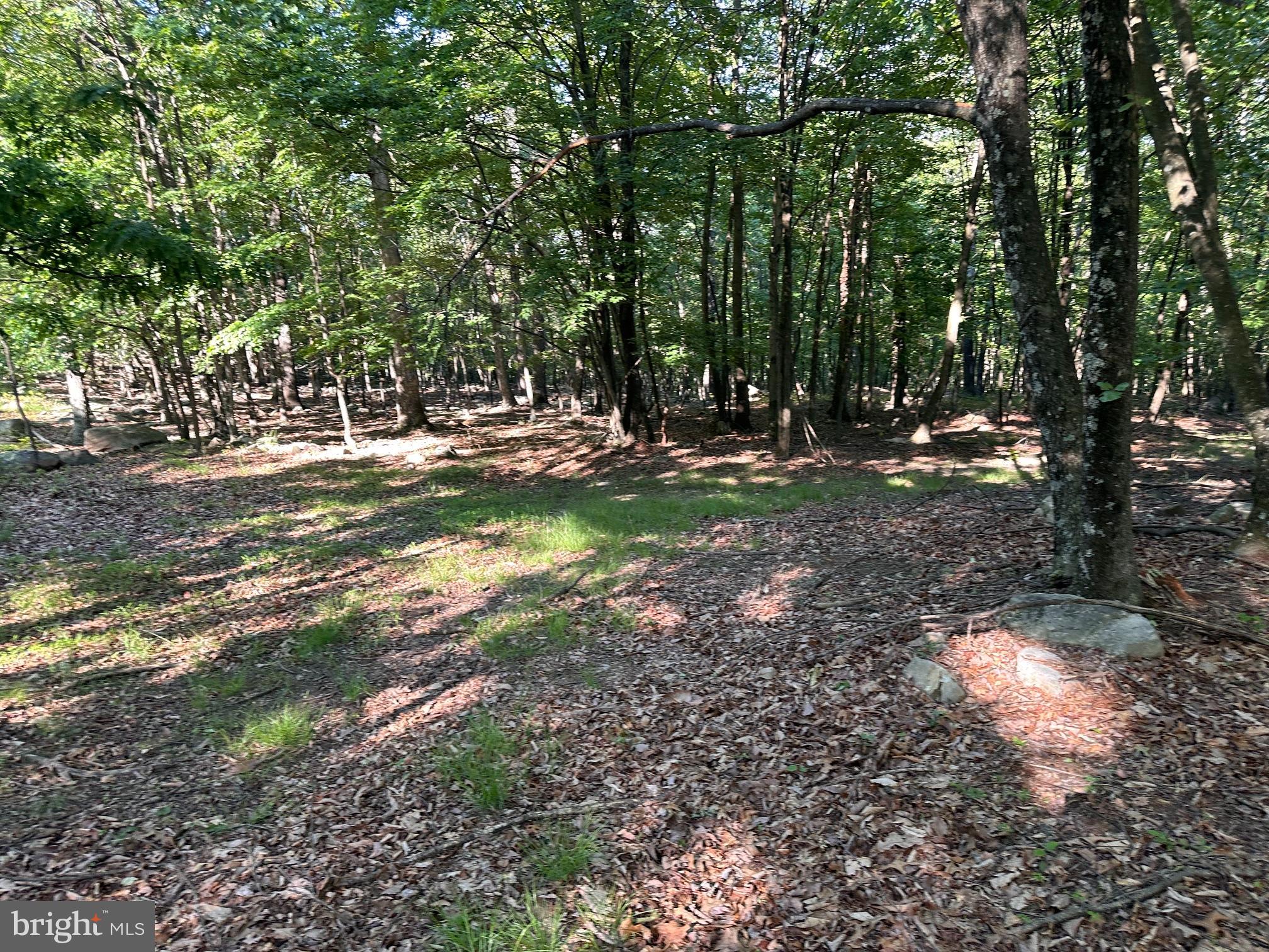Lot 56 PARKSIDE DRIVE