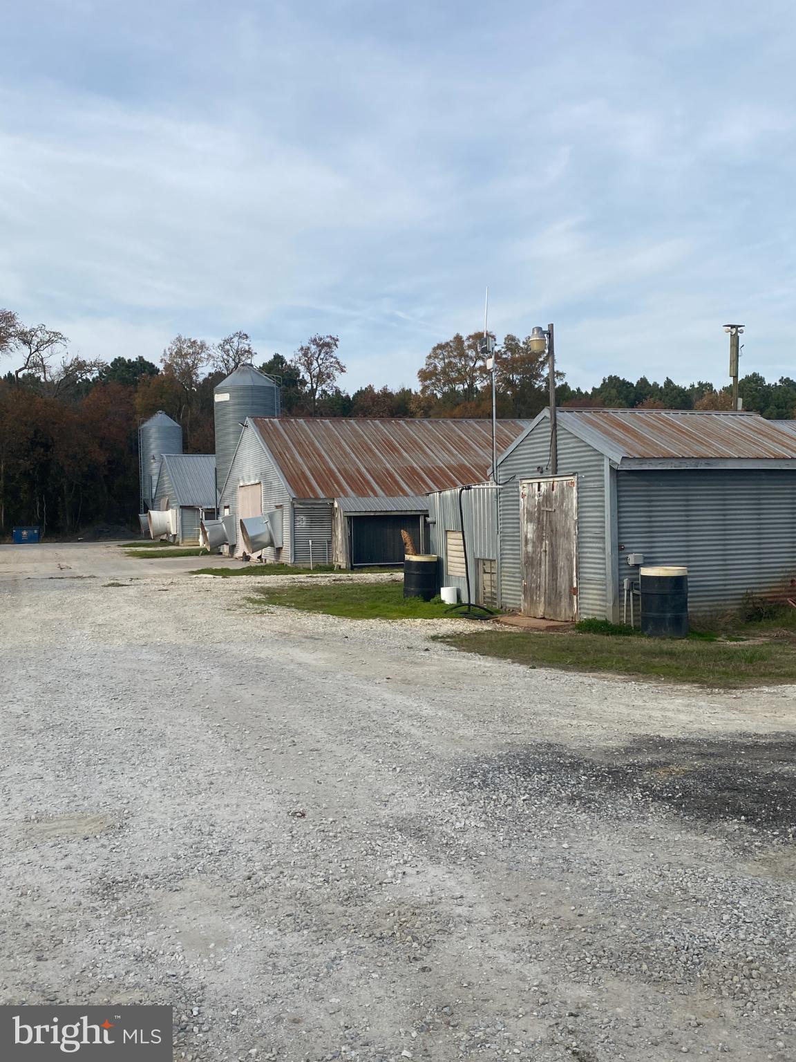 NONE AVAILABLE - Farm