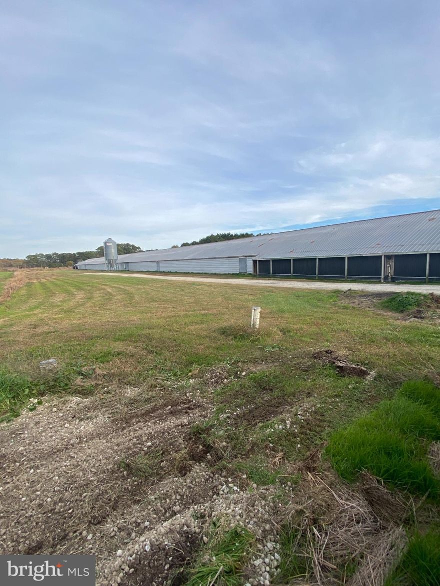 No Poultry House showings when birds are active in houses - farm to be seen at Bio-Security area. Also no one allowed on the farm without appointment no drive through.