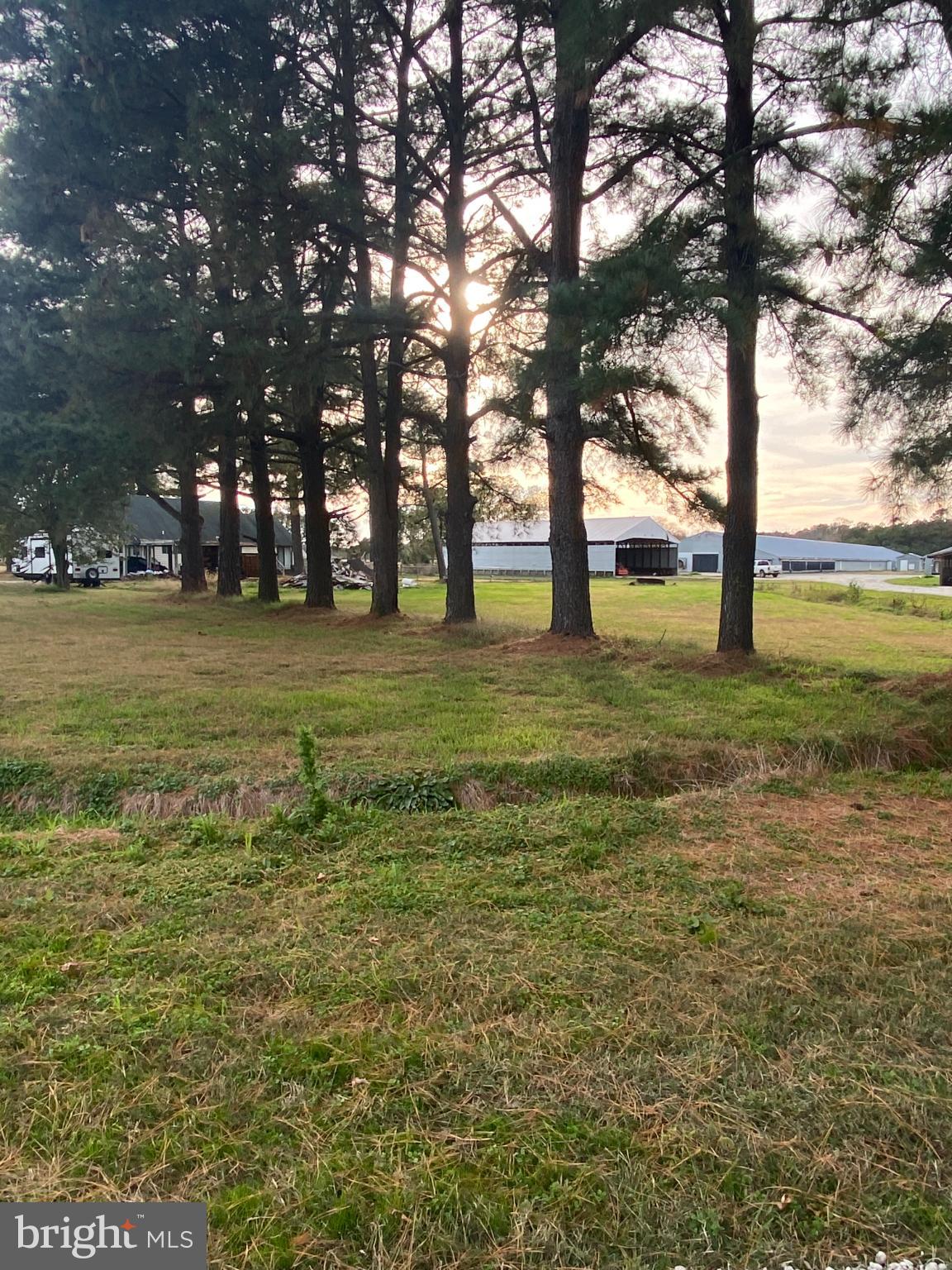 NONE AVAILABLE - Farm