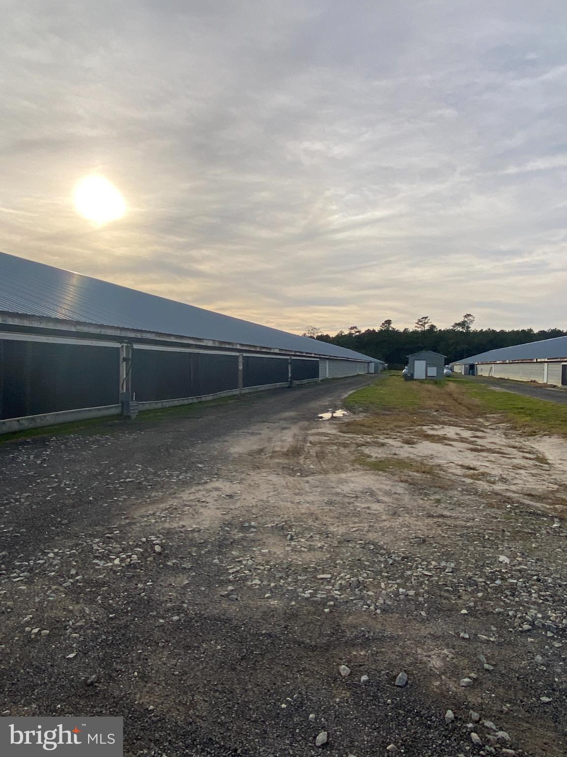 NONE AVAILABLE - Farm