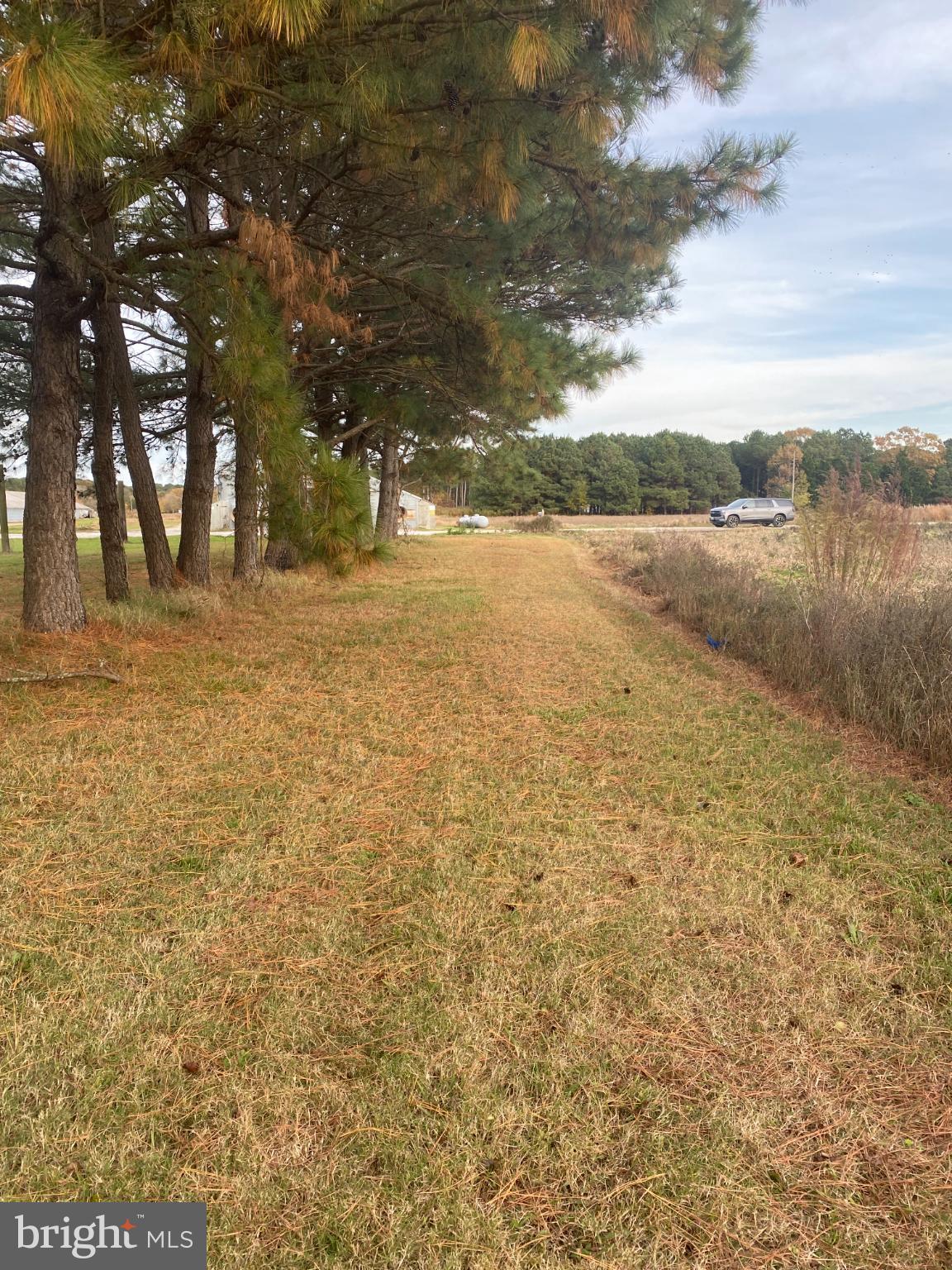 NONE AVAILABLE - Farm