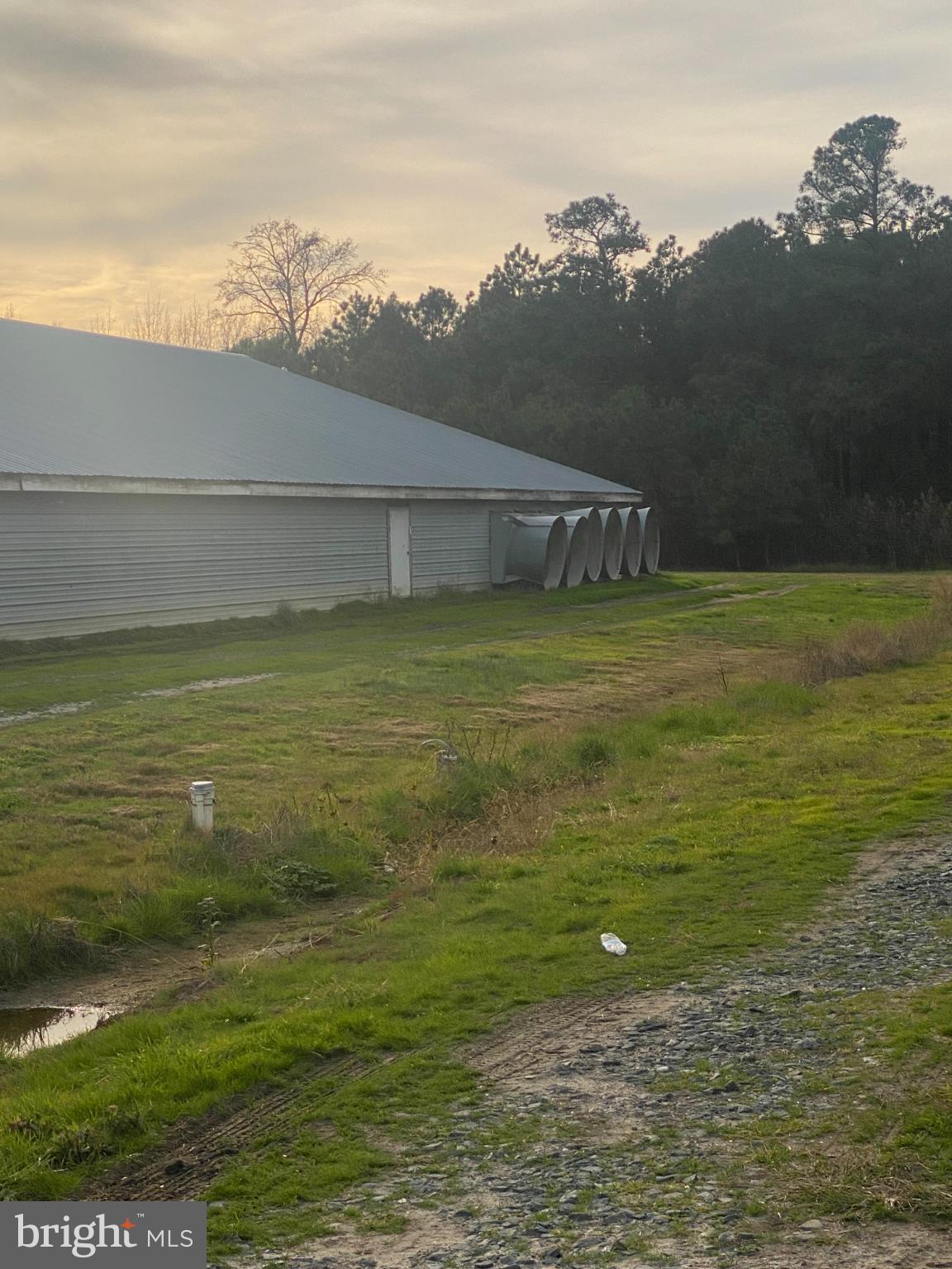 NONE AVAILABLE - Farm