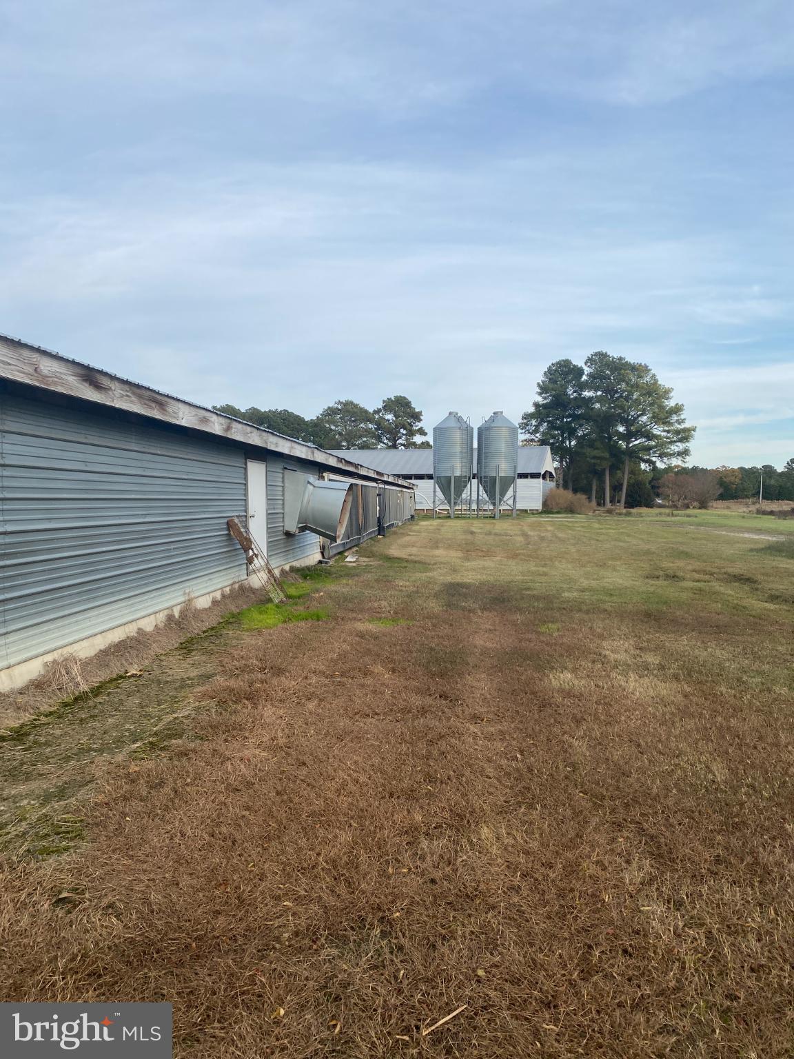 NONE AVAILABLE - Farm