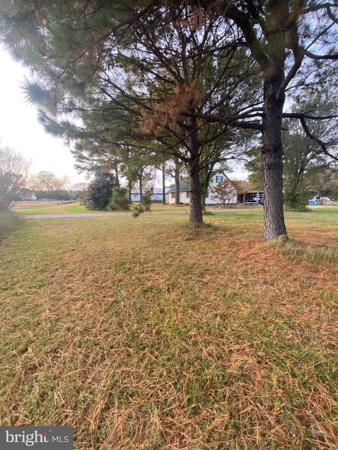 NONE AVAILABLE - Farm