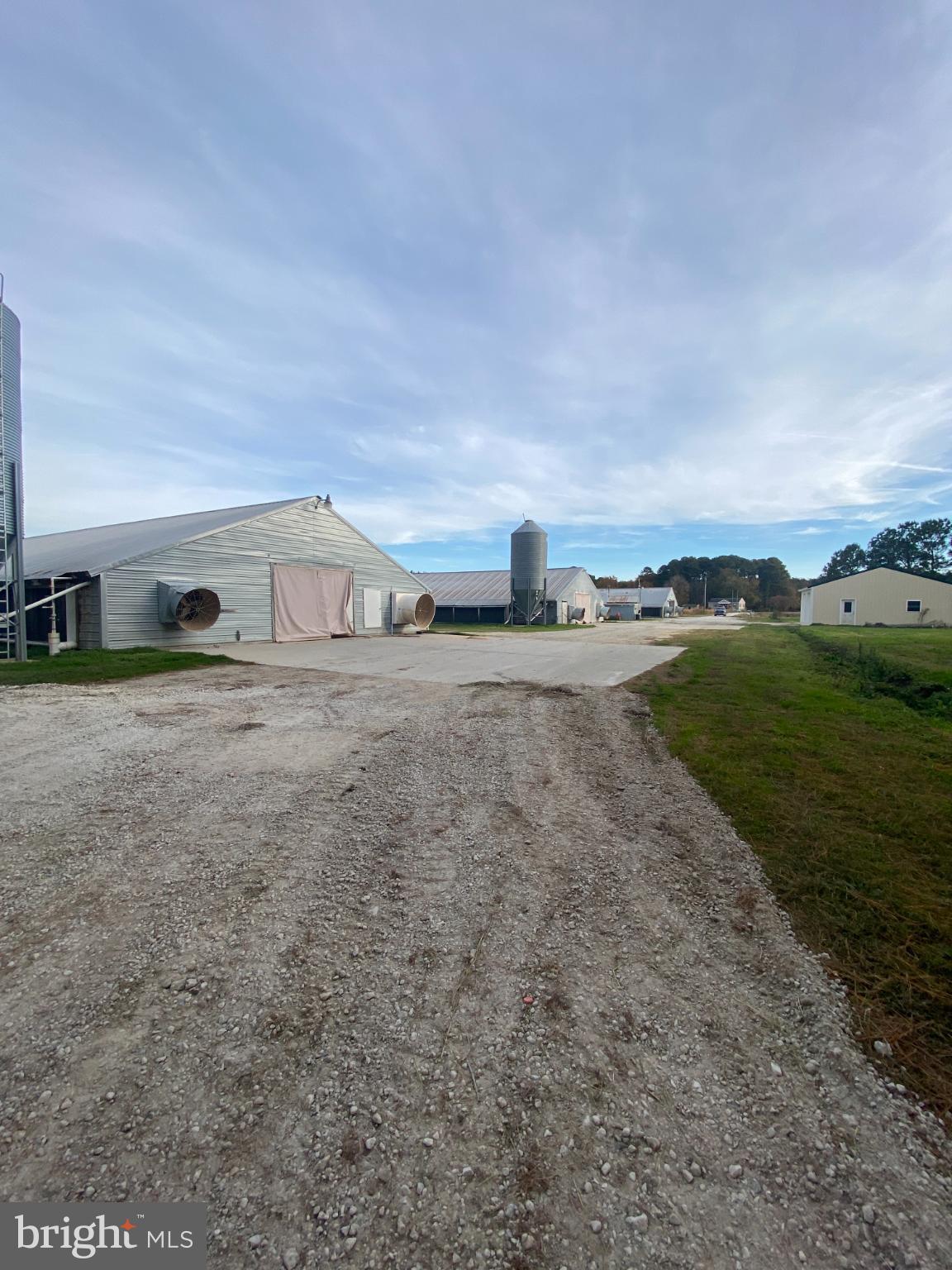 NONE AVAILABLE - Farm