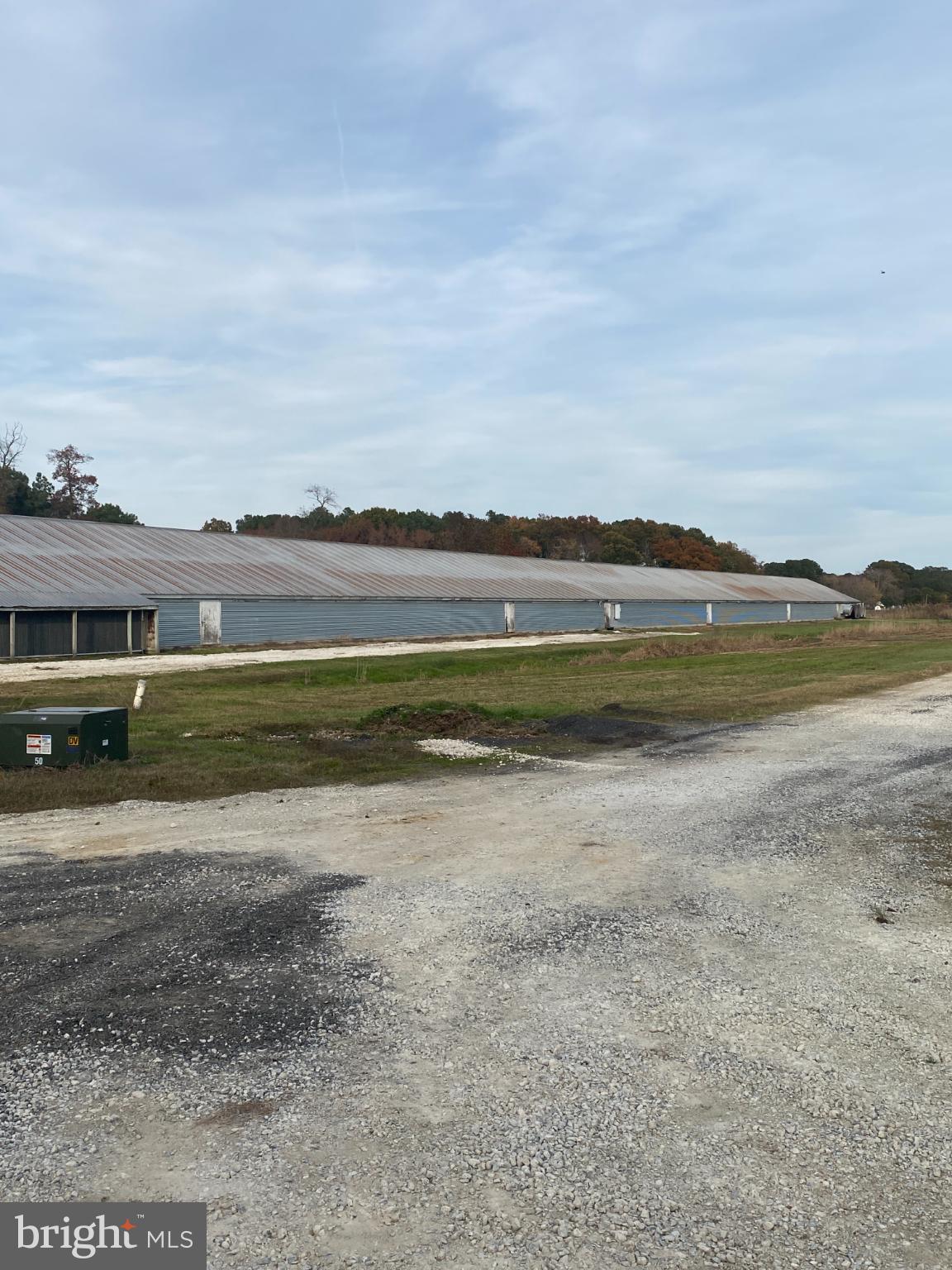 NONE AVAILABLE - Farm