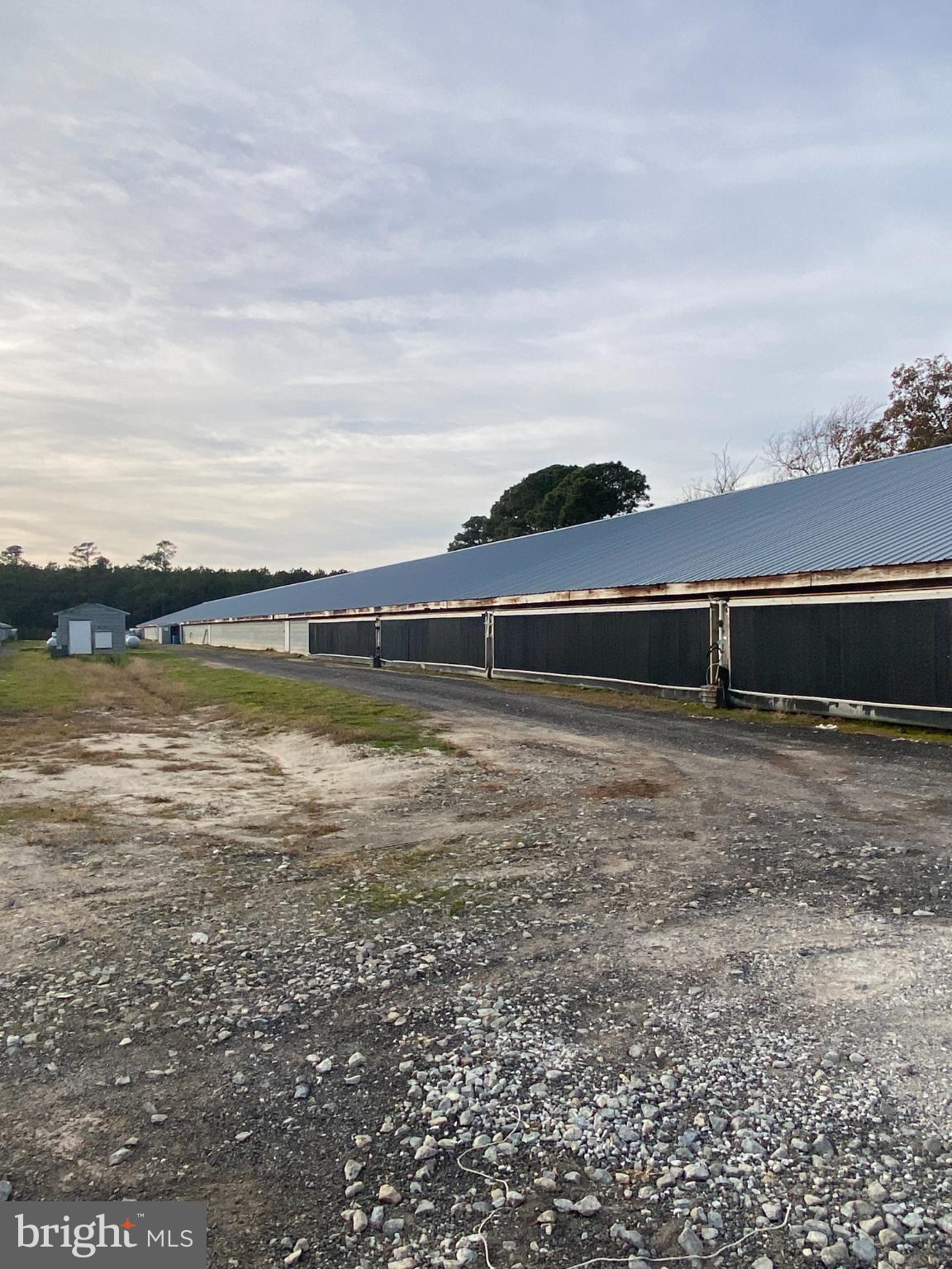 NONE AVAILABLE - Farm