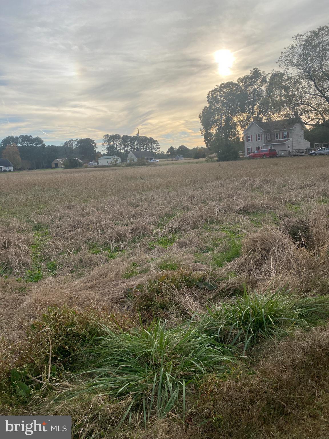 NONE AVAILABLE - Farm