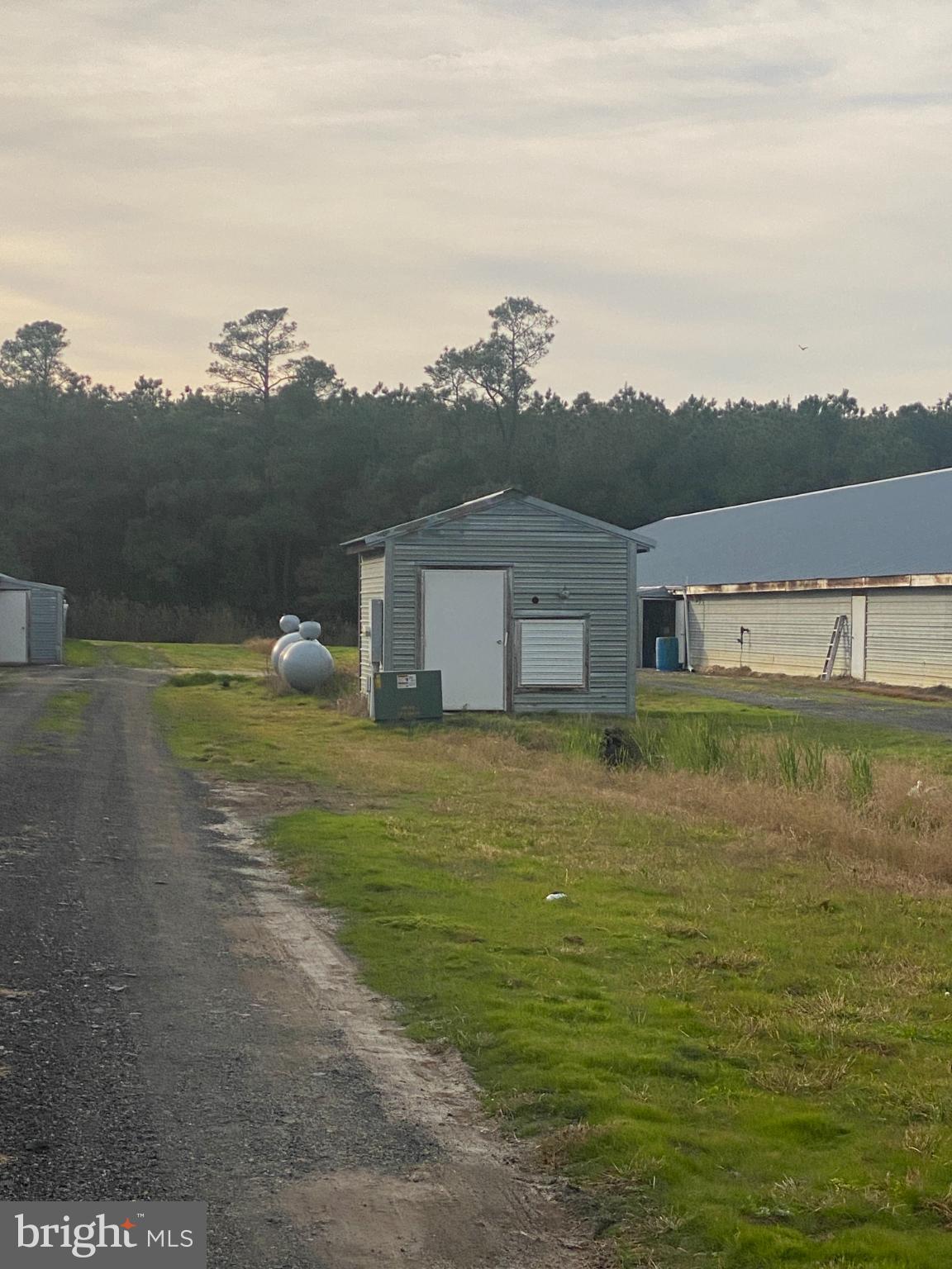 NONE AVAILABLE - Farm