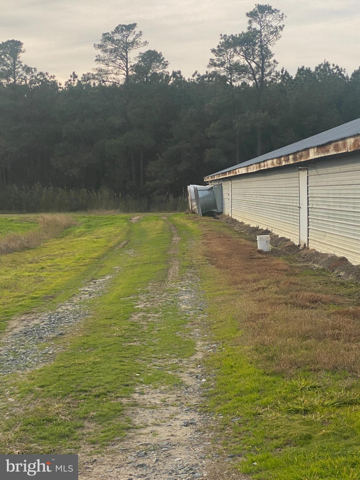 NONE AVAILABLE - Farm