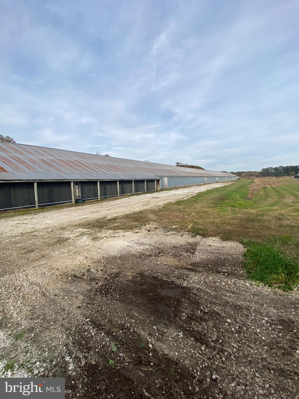 NONE AVAILABLE - Farm