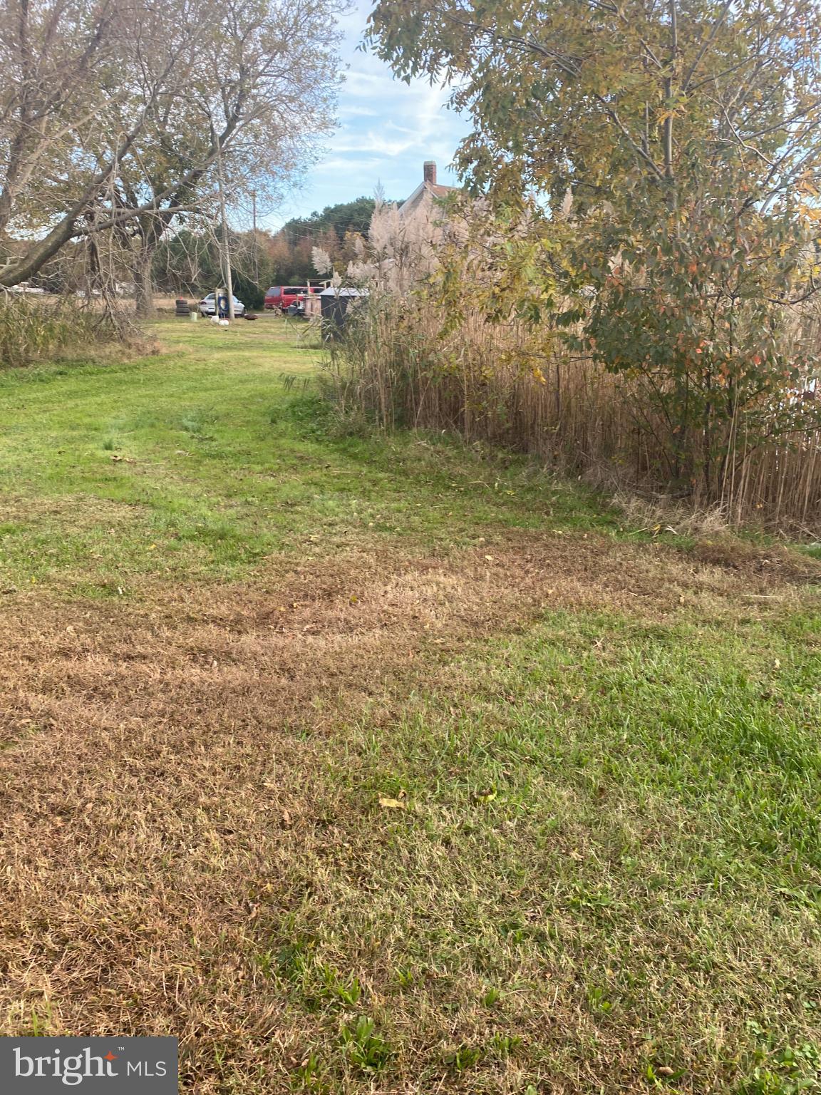 NONE AVAILABLE - Farm