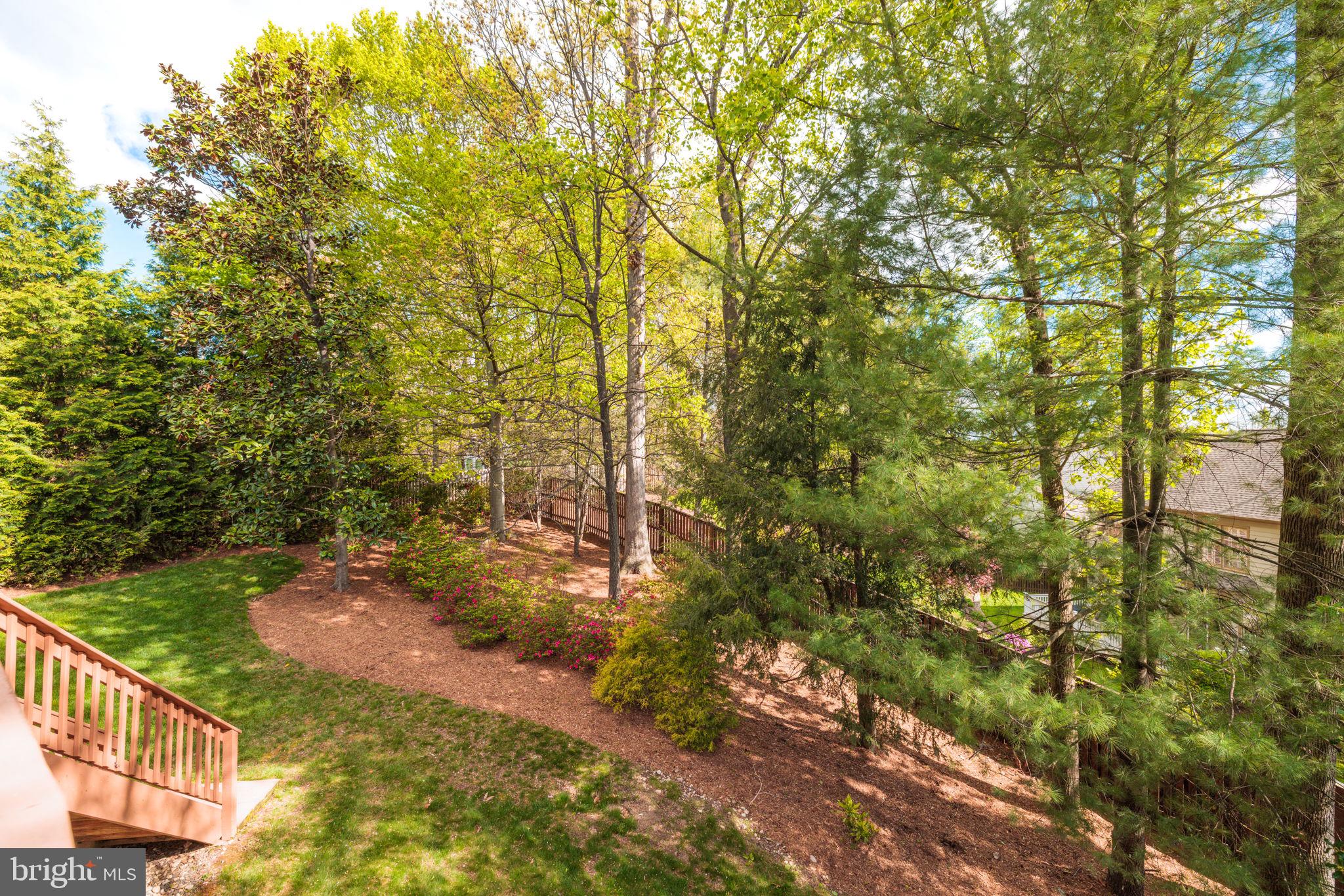 BUSH HILL WOODS - Residential