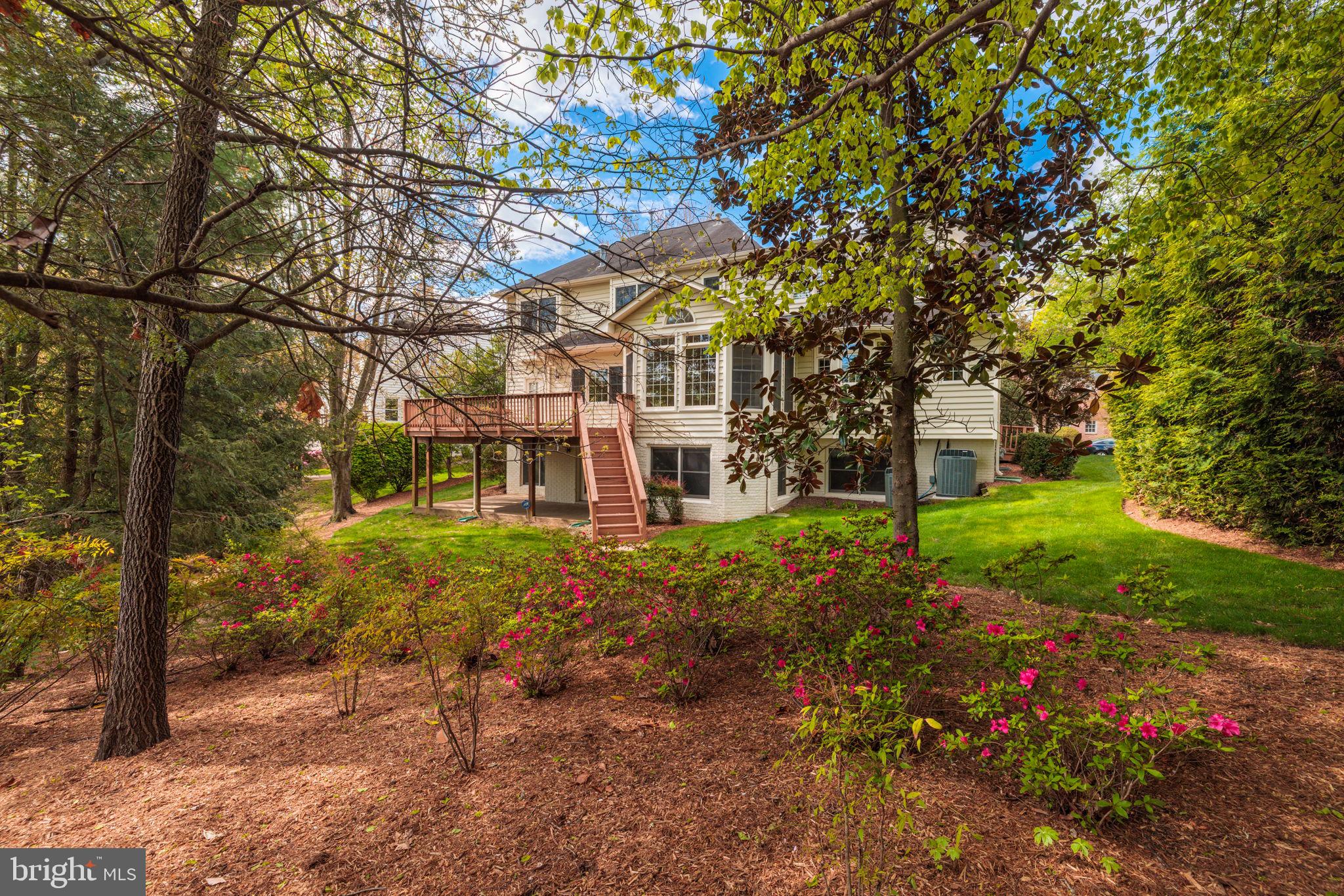 BUSH HILL WOODS - Residential